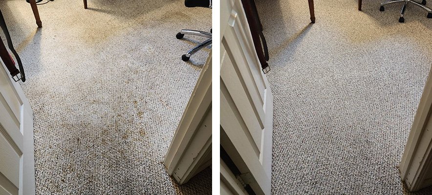 Comparison of a dirty carpet before cleaning and a clean carpet after cleaning in a doorway.