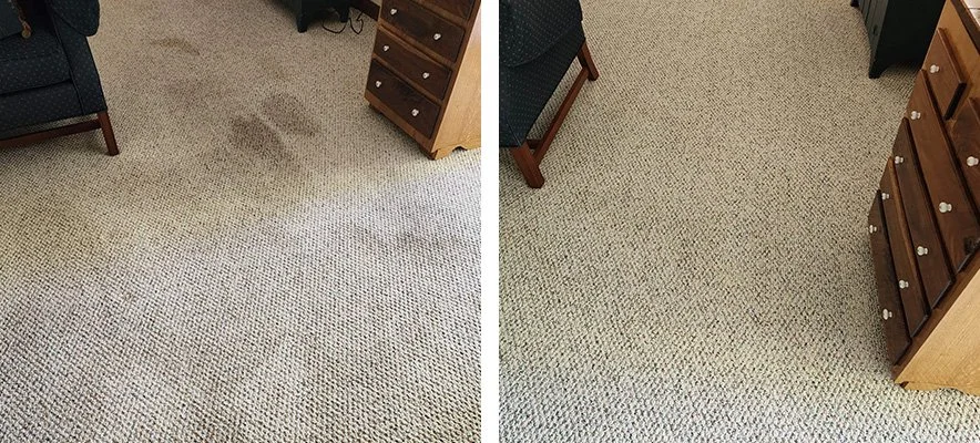 Comparison of two carpeted room floors, showing cleaned and uncleaned areas.