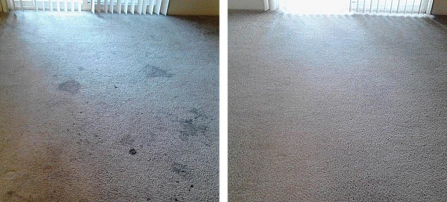 Side-by-side comparison of a carpet before and after cleaning, showing stains on the left and a clean, stain-free carpet on the right.