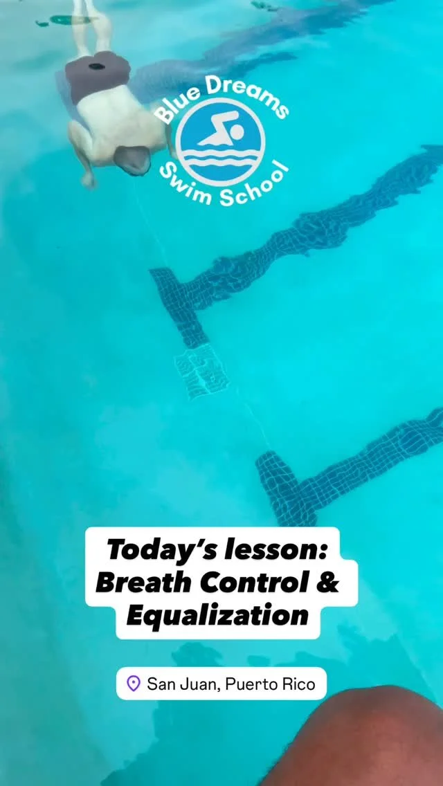 When the student is ready, the teacher will appear !
Whether you’re learning to swim or looking to improve with a goal in mind. We tailor ALL lessons to what our clients need.
#swimlessons #bluedreamsswimschool #learntoswim #watersafety #pue