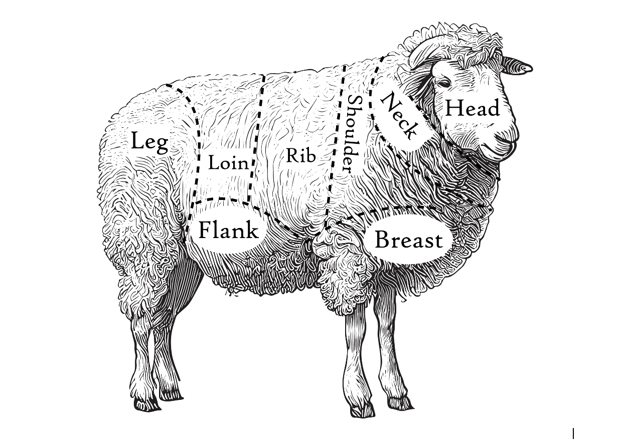 Lamb Deposit (November 2026)