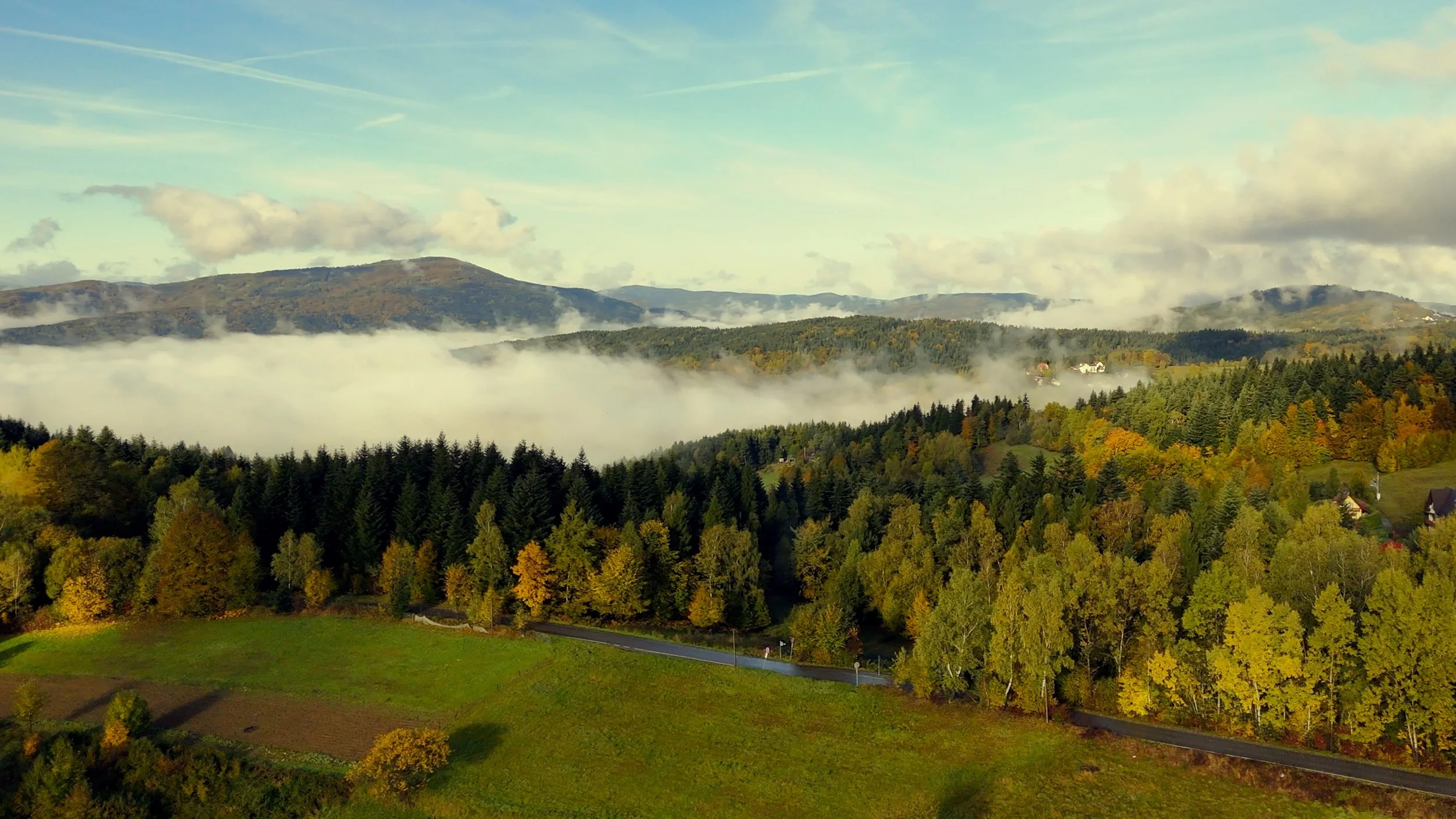 Untitled Project.jpeg