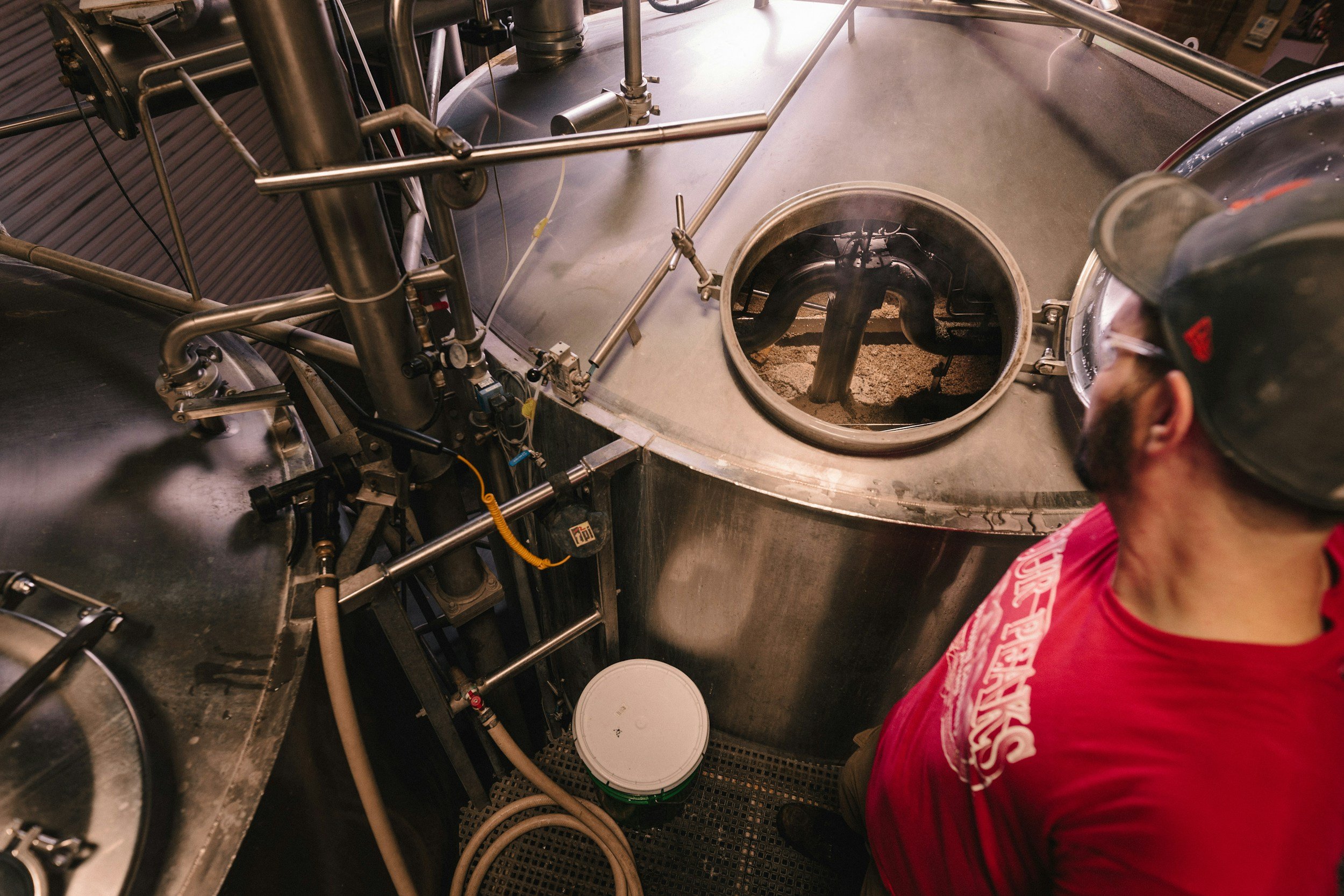 How to Choose the Right Yeast for Your Brew