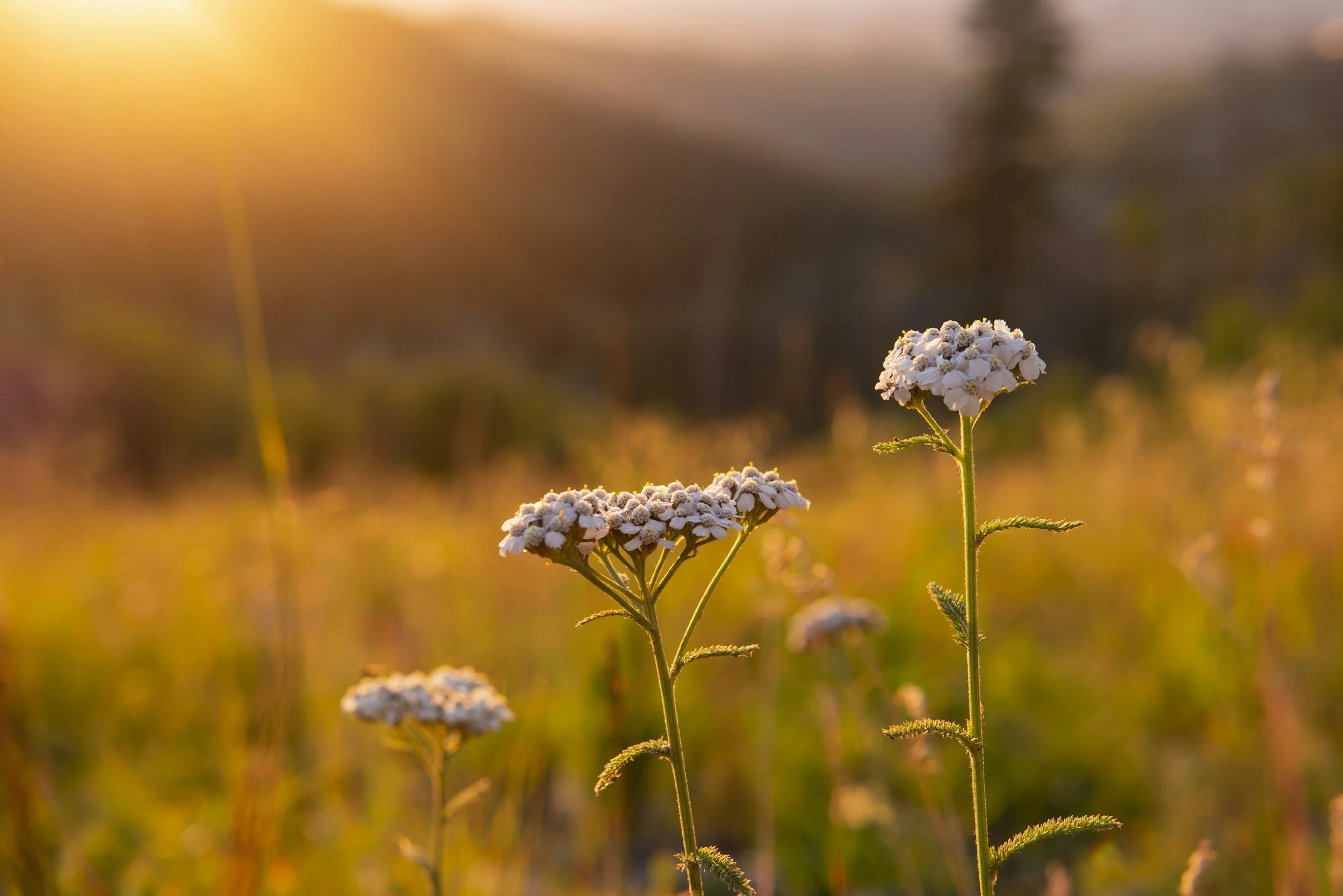 How Perfectionism Fuels Anxiety — And What to Do About It
