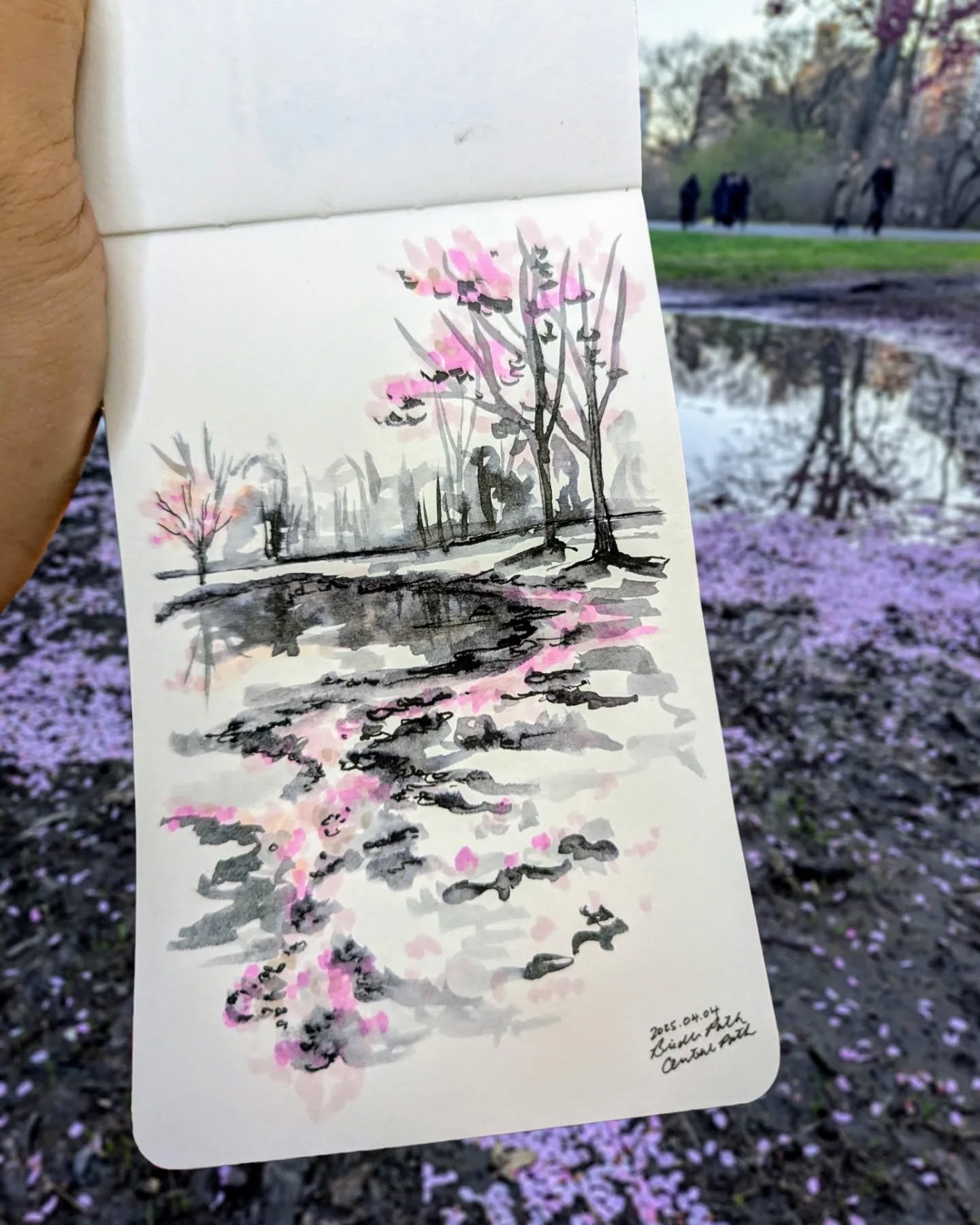 🌸 You'd think the trees are already letting them go. Petals cover the ground like a quiet celebration. You never know which bloom will be the last. I say they're making way for what comes next. The blossoms teach us to show up fully even if it is fo