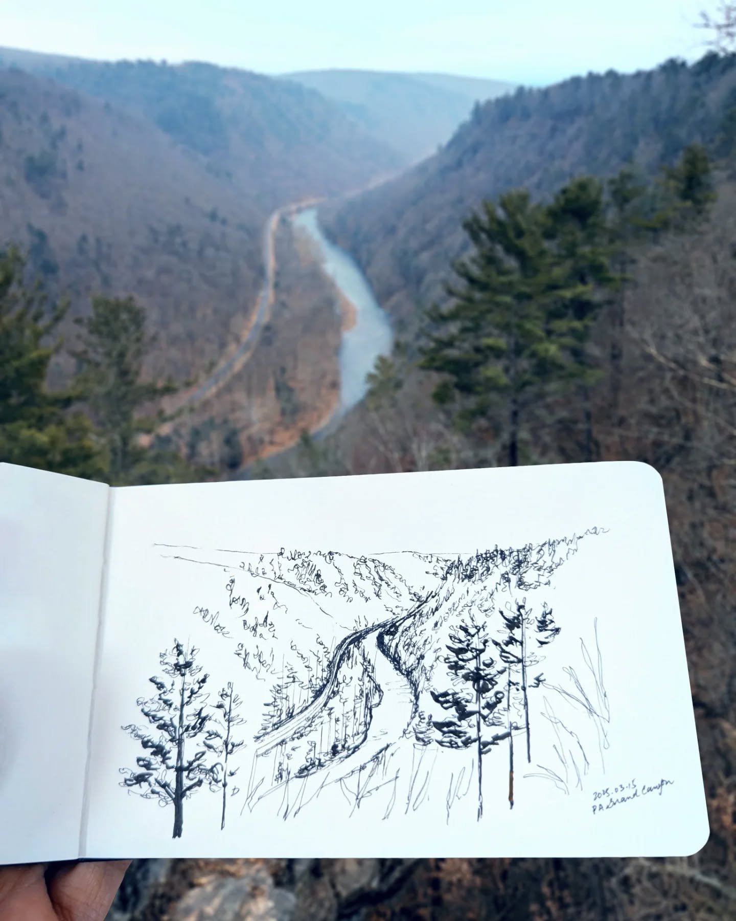 Is this the Grand Canyon? Not exact, but kinda - Pennsylvania's version, which is quieter, greener, and carved by glaciers instead of desert wind. Pine Creek Gorge, known as the PA Grand Canyon, stretches 50 miles through the northern forests and dro