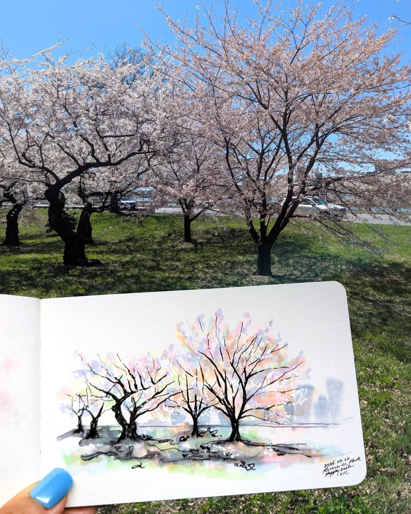 🌸 Let colors in, and you'll see them. Violet tucked in the shadows, blue brushing between branches, green waiting for its turn. Even the softest cherry blossoms, barely pink or almost white, hold every shade if you look long enough.

This is Riversi