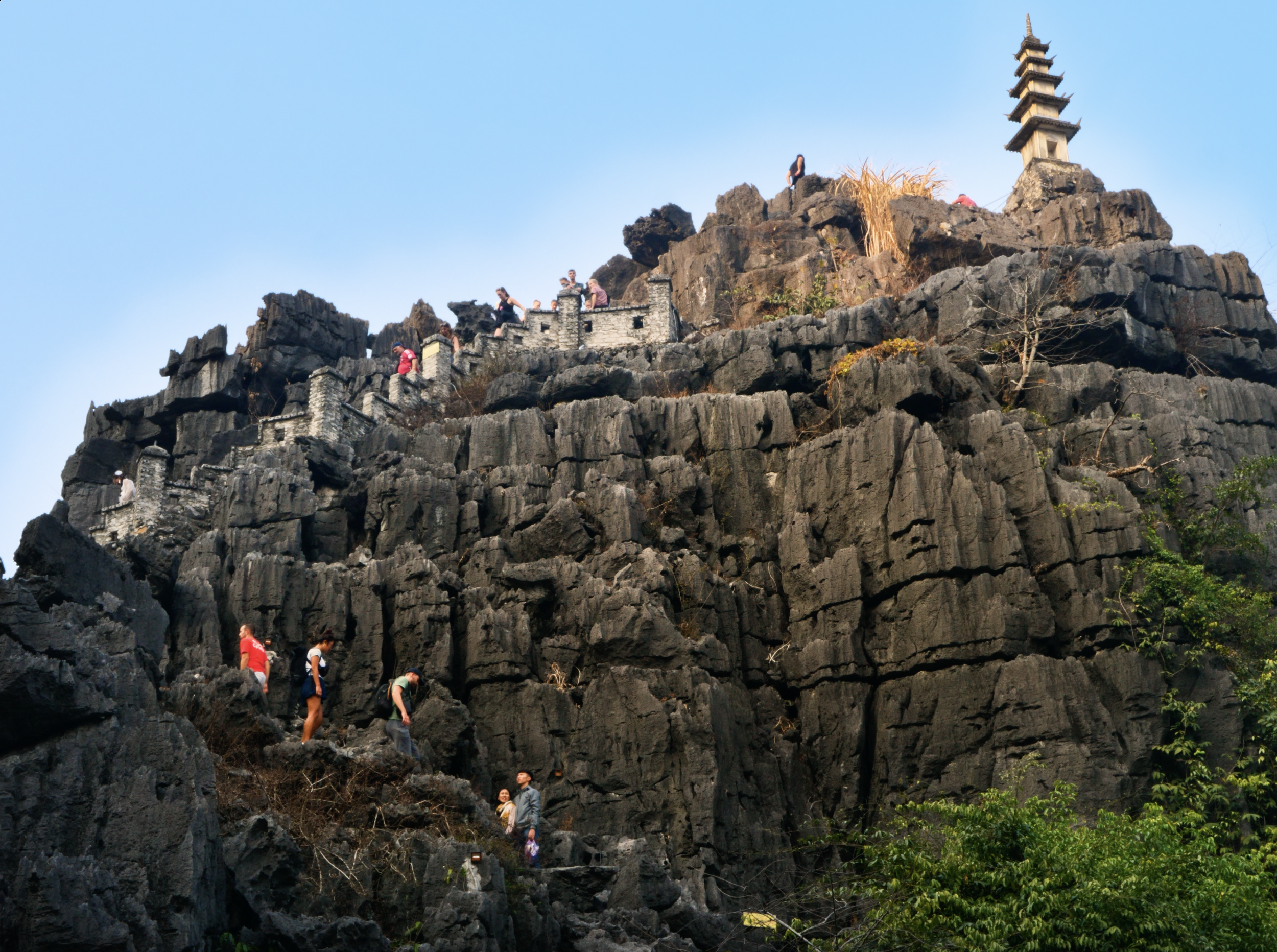 Screenshot 2025-02-13 at 1.47.08 PM.png