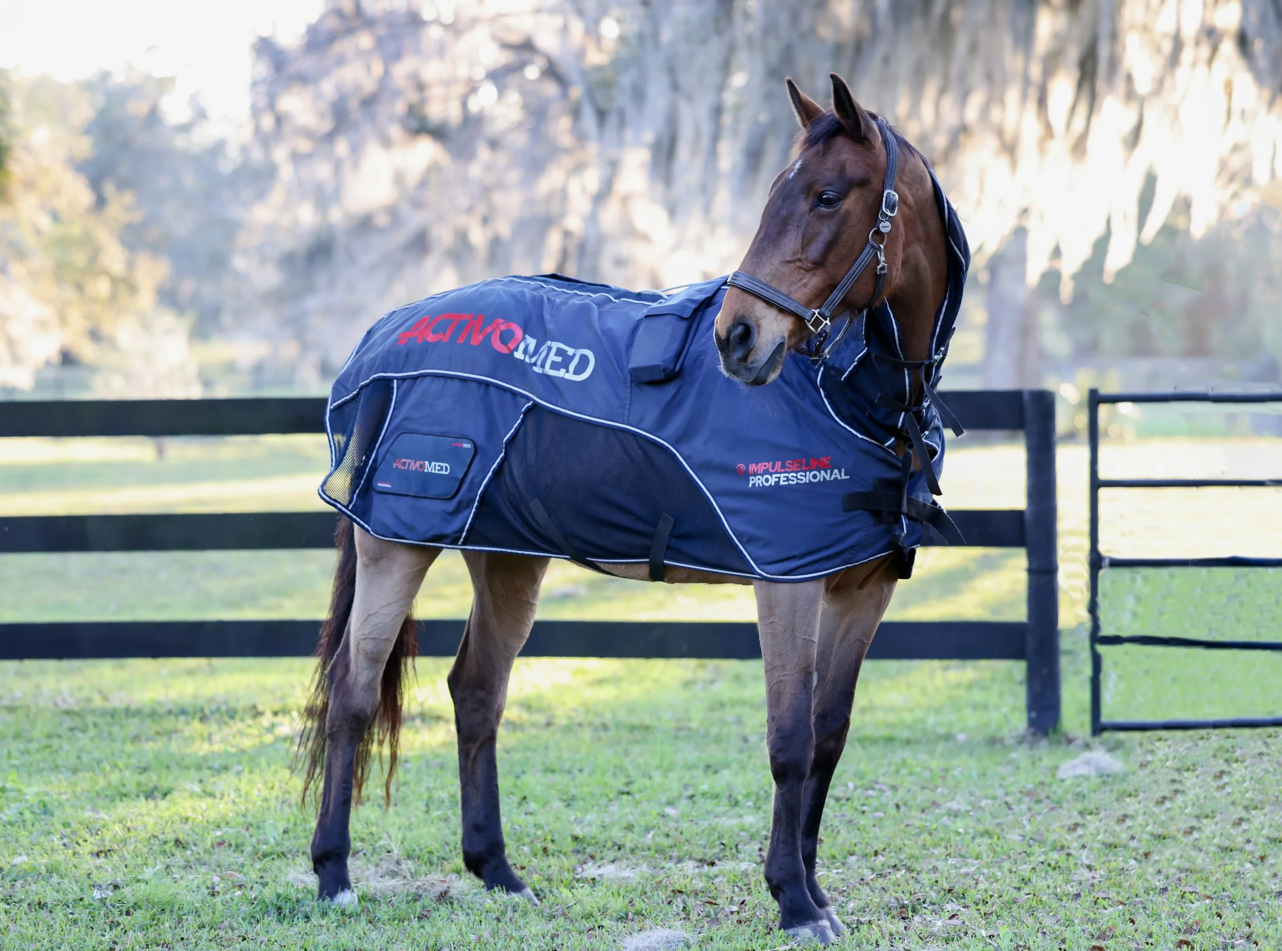 A brown horse standing outdoors on grass with a black wooden fence and rocky mountain backdrop, wearing a blue blanket with red and white text and logos.