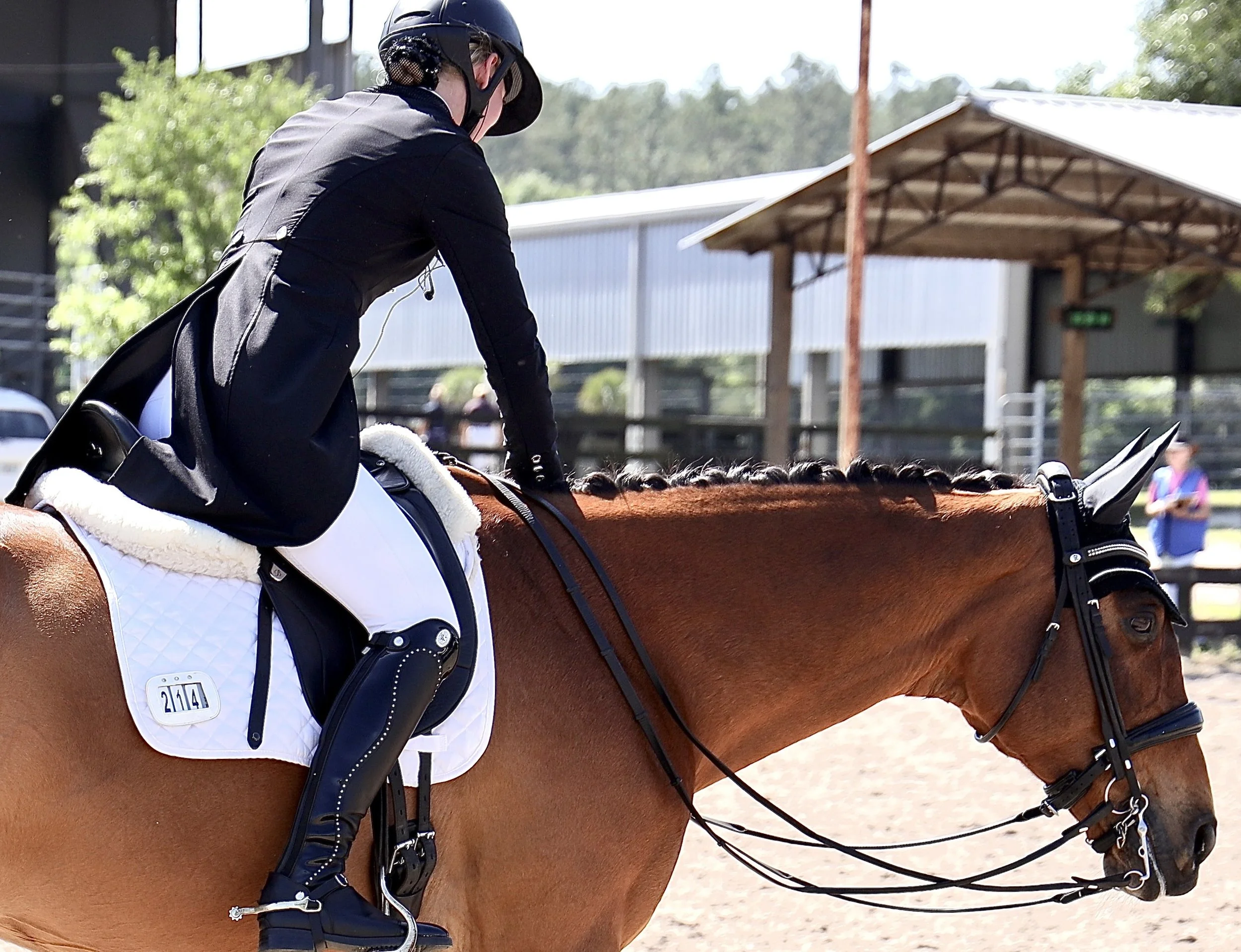 A person dressed in black riding a brown horse at an outdoor equestrian event, with a horse saddle and bridle, and spectators in the background.