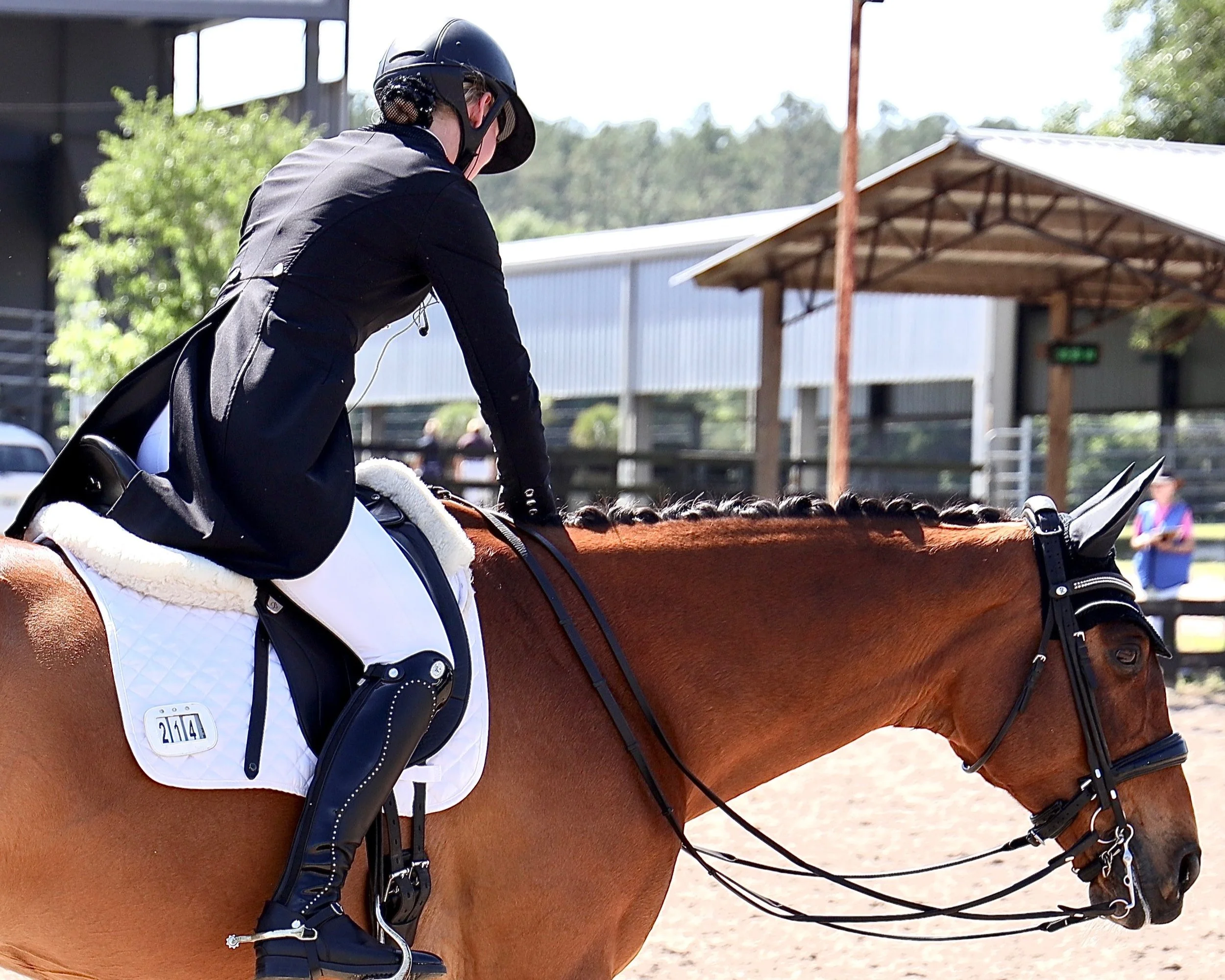 A jockey riding a brown horse with a black bridle and a white saddle pad during a riding event.