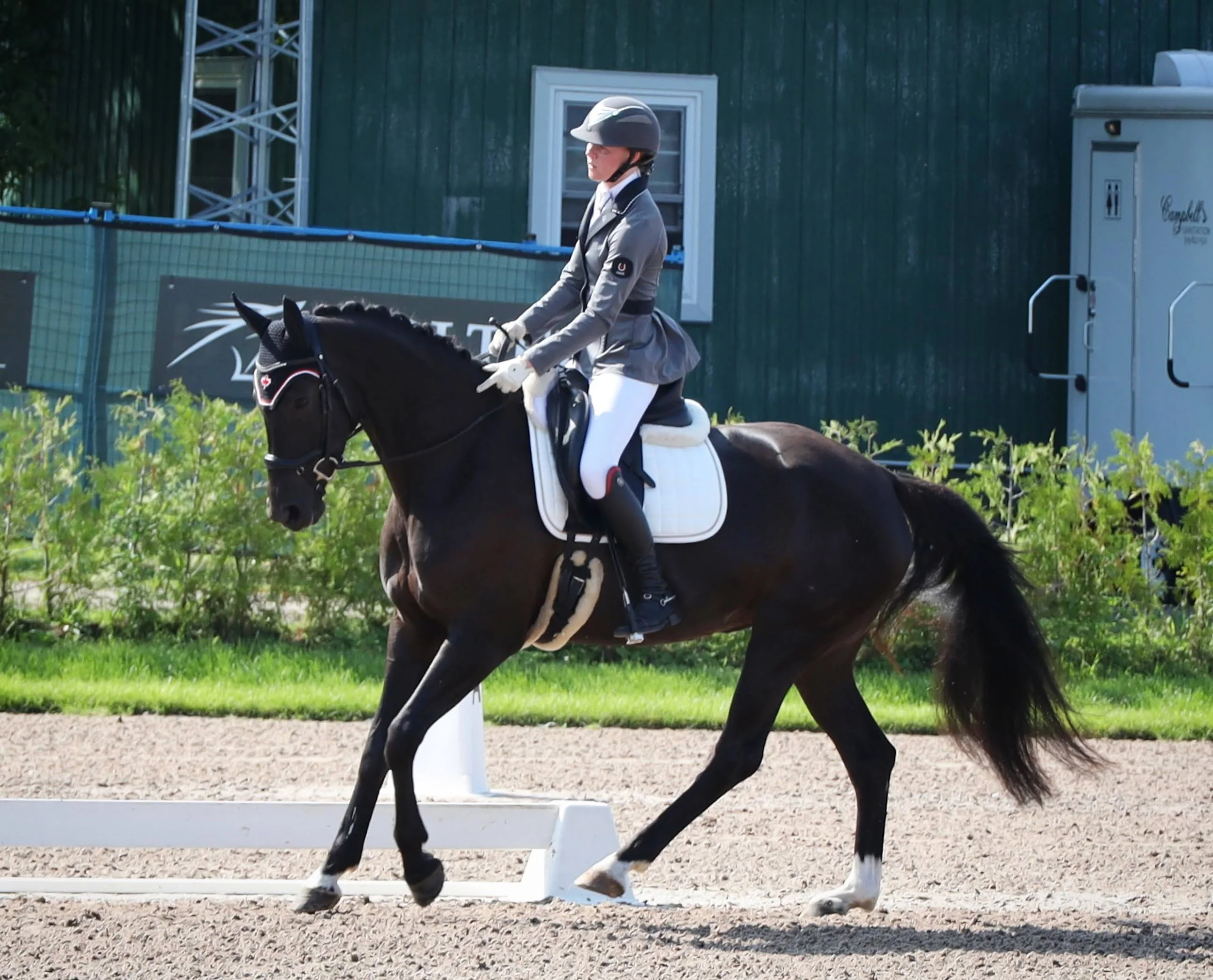 R Ghamilla 2023 first level dressage