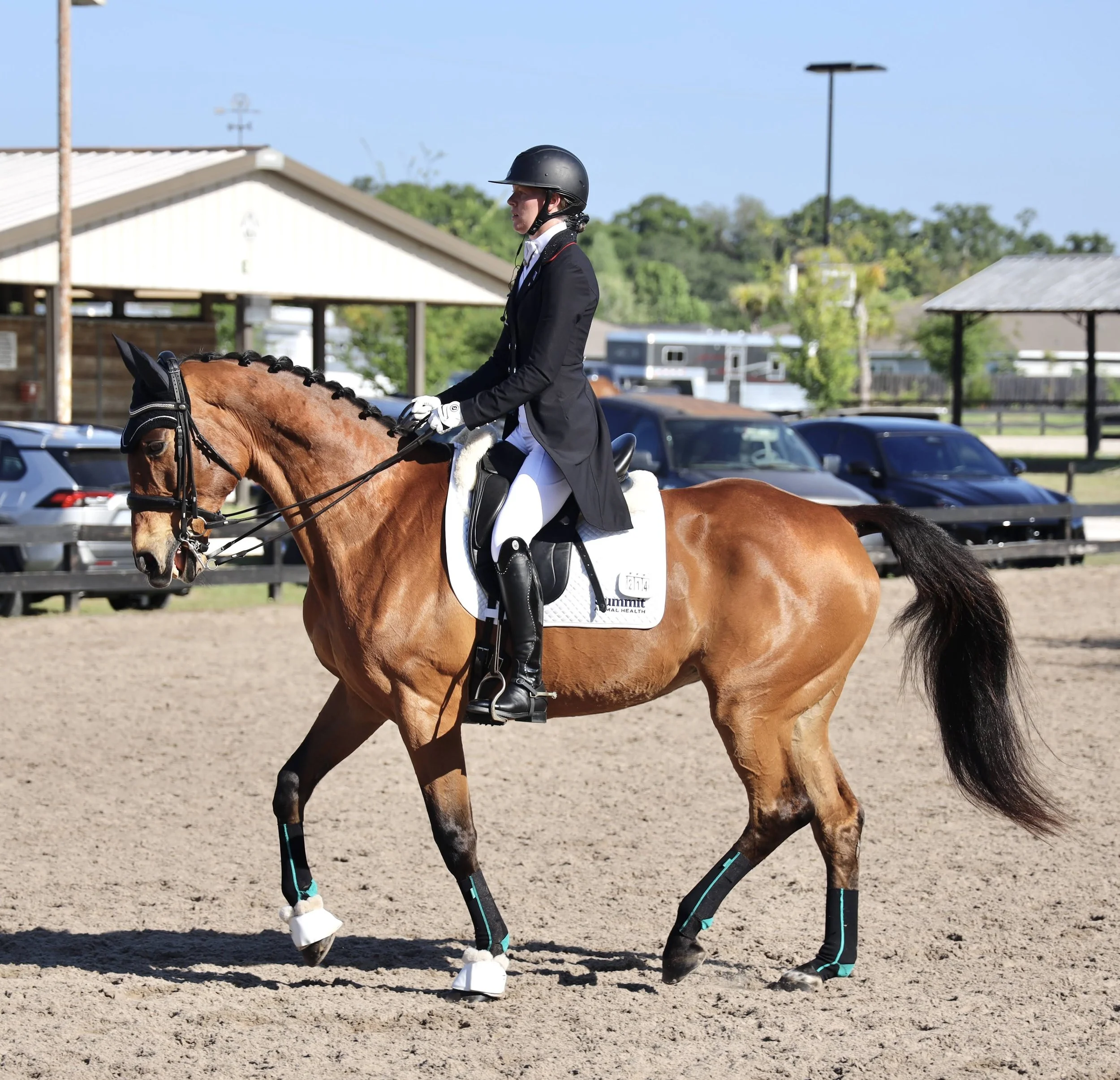 Ariel and Seodna winning reserve in the FEI open PSG in Florida 2025