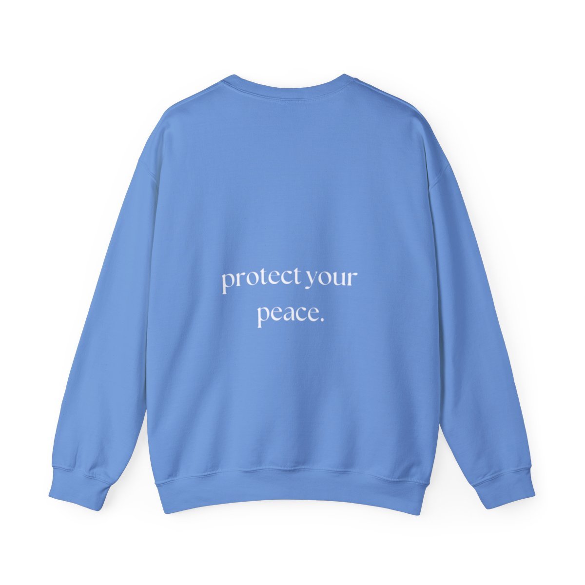 Blue brewneck Back.jpg