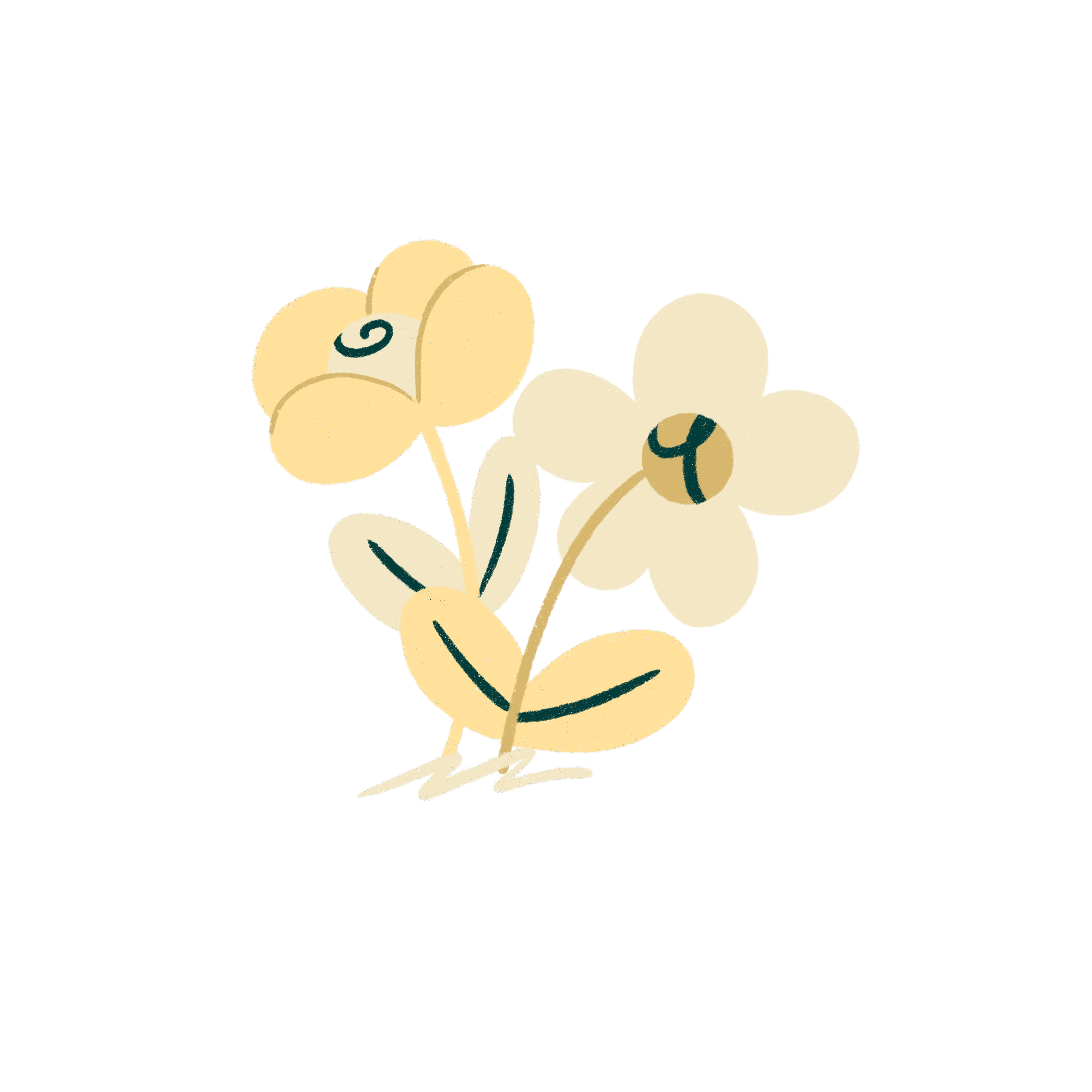 Flores_sem fundo.png