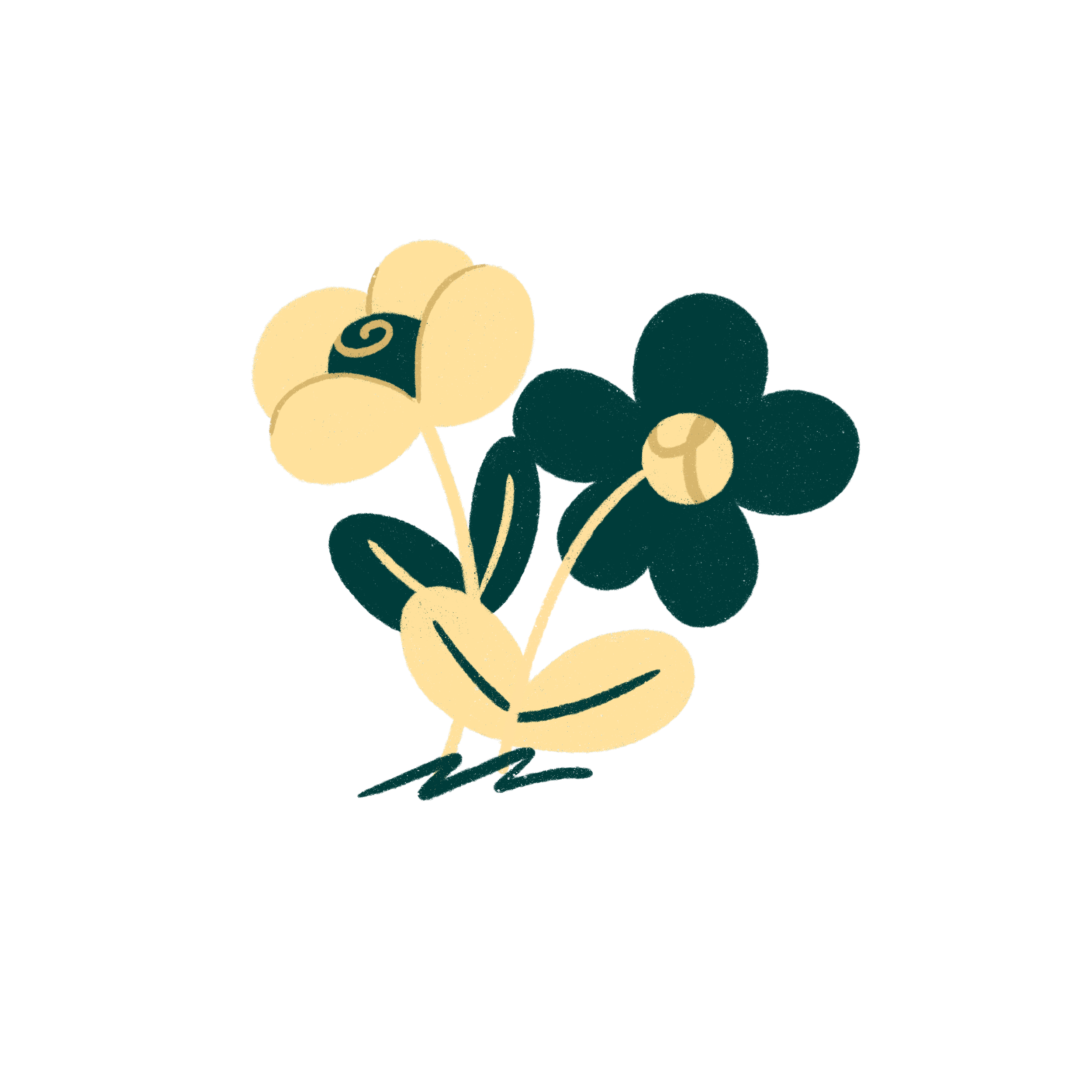 Flores_sem fundo.png