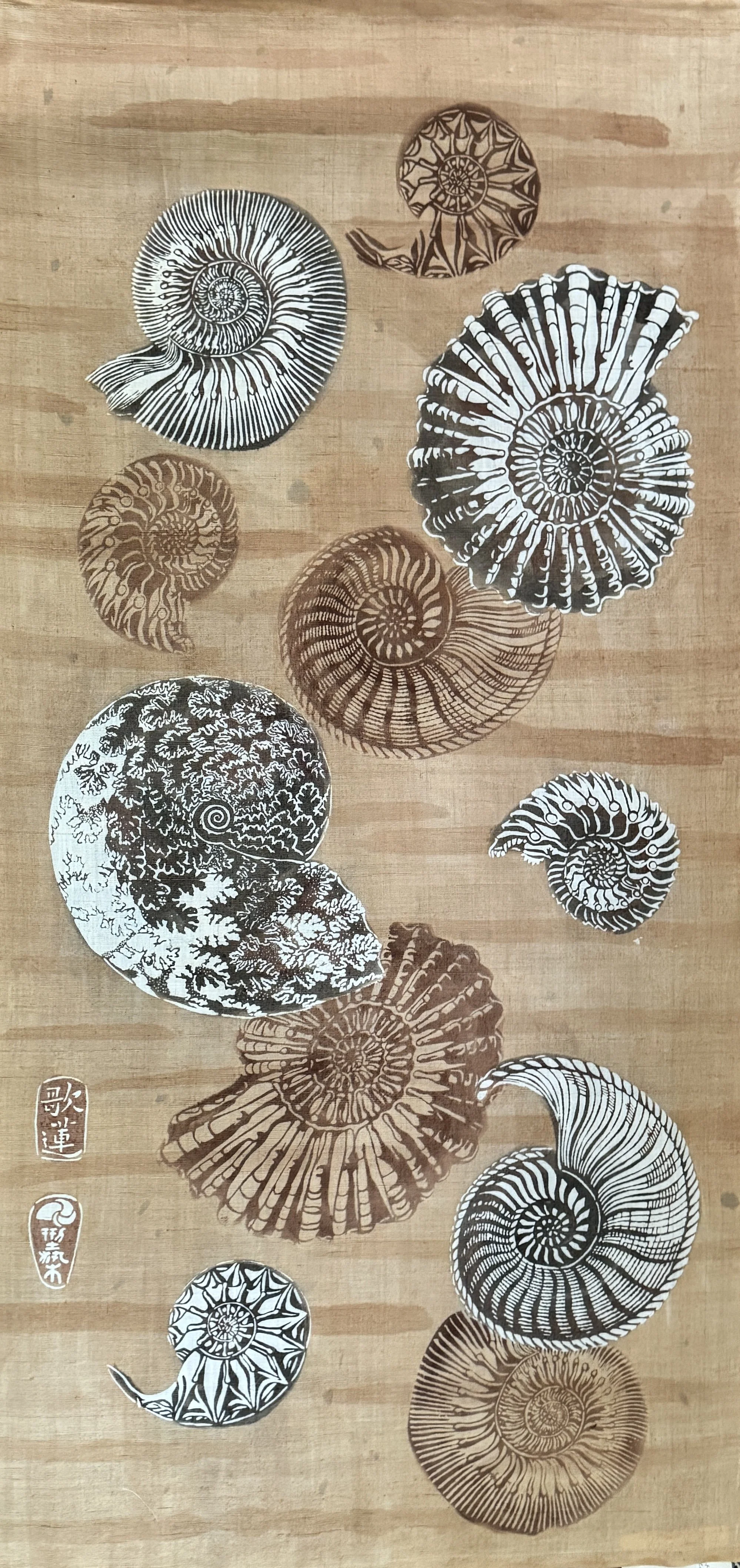 Ammonites Scroll