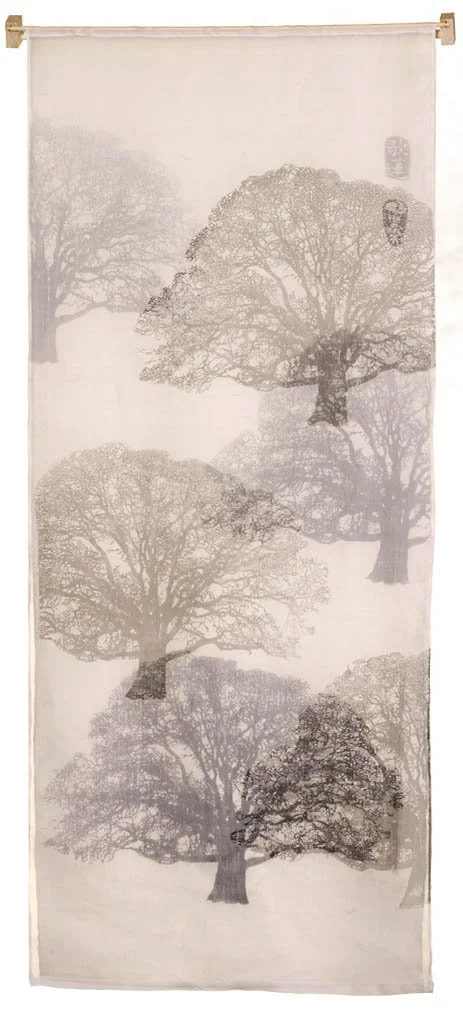 Layered Oaks.jpg