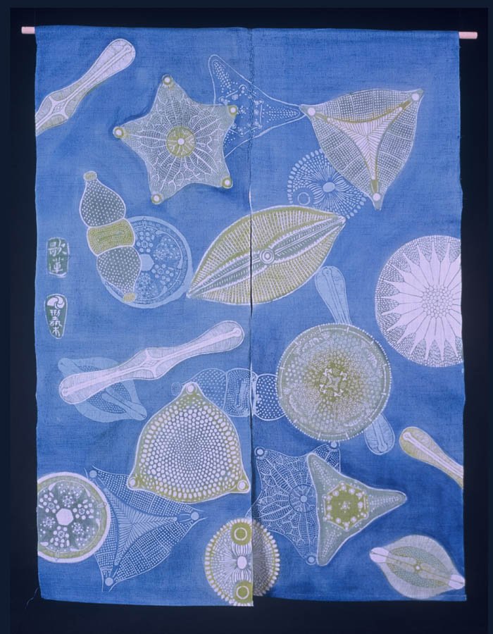 Diatoms.jpg