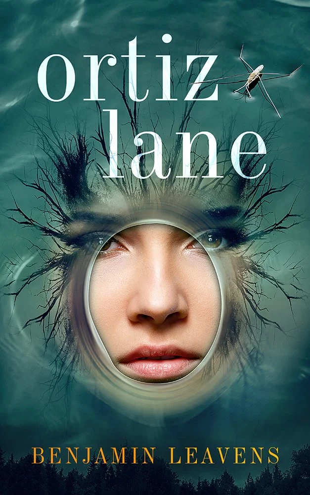 Ortiz Lane by Benjamin Leavens