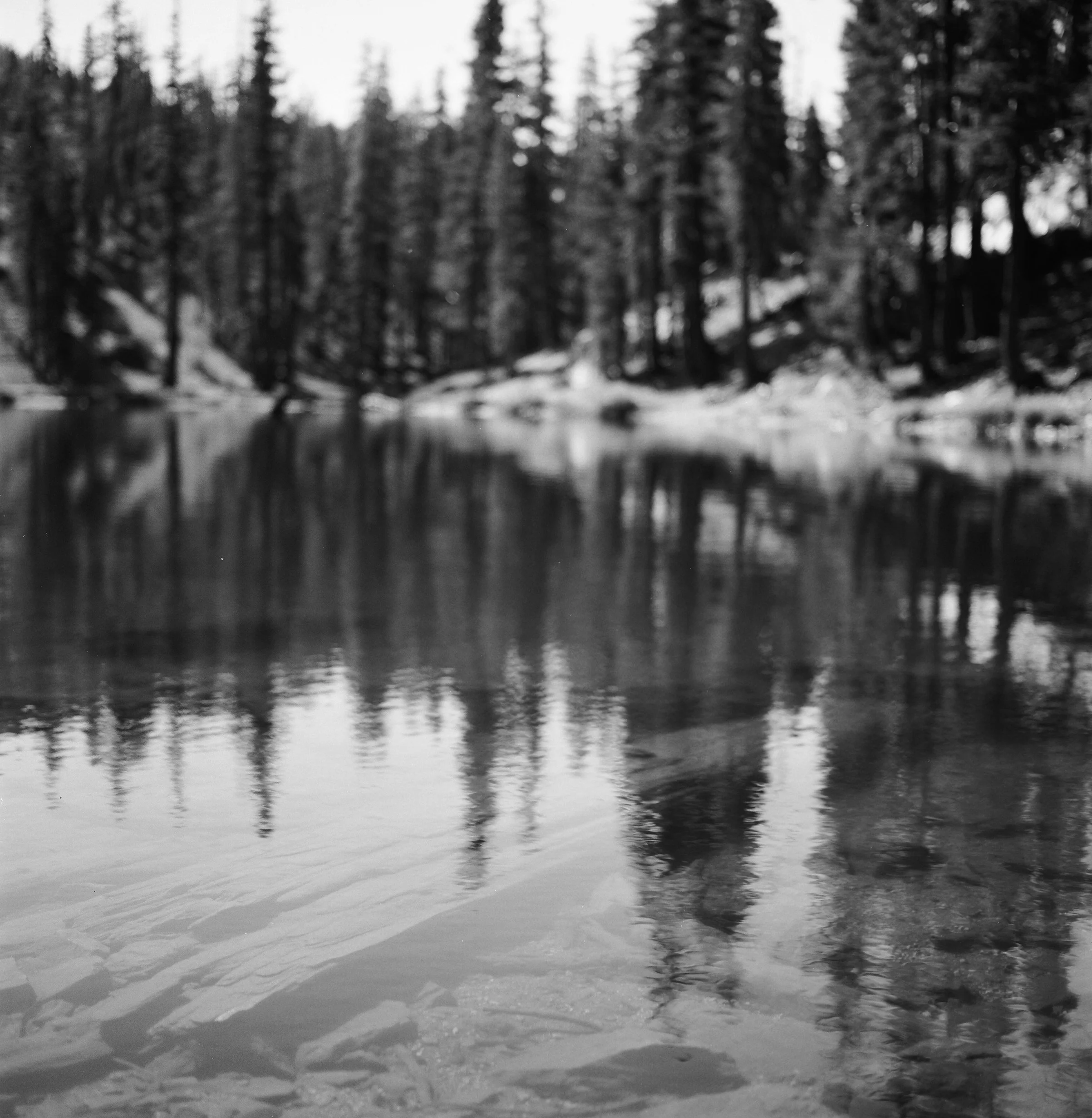 Black and white photograph of a serene lake reflecting tall evergreen trees in a forest landscape.