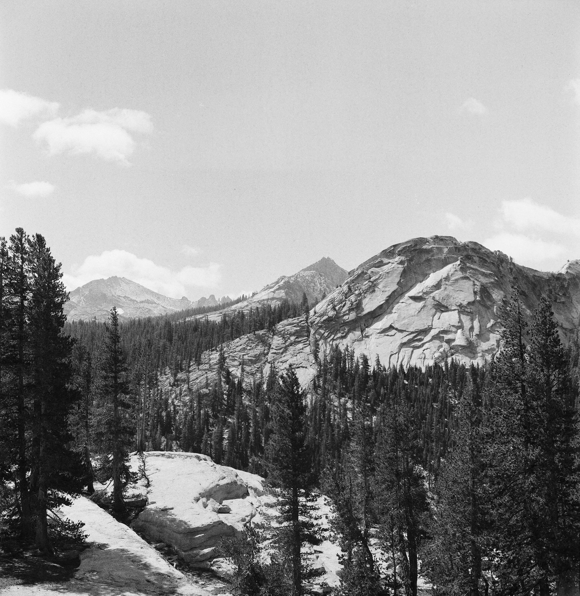 Black and white photo of a mountainous landscape with rocky cliffs and dense forests, featuring pine trees and distant peaks under a partly cloudy sky.