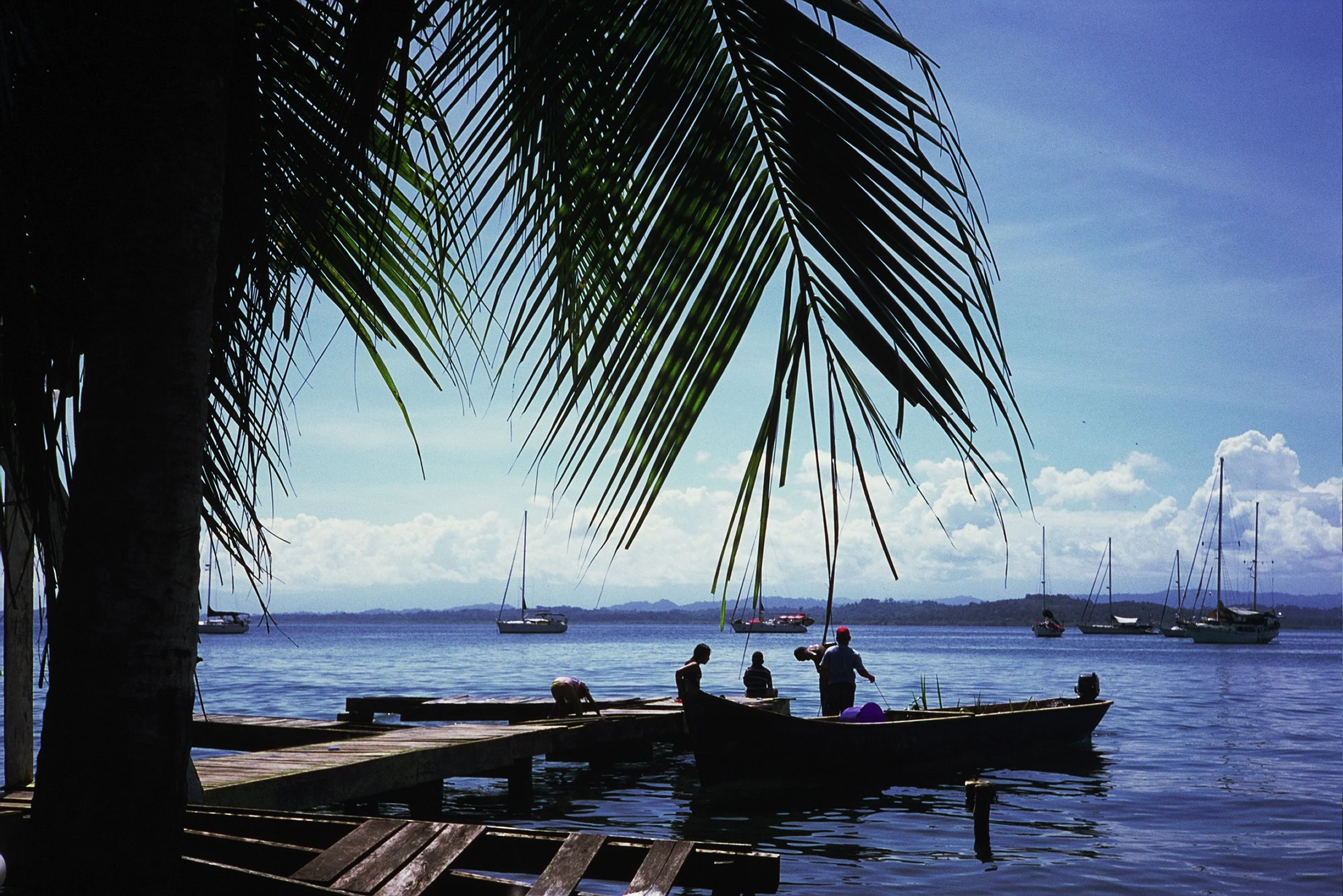 Scenic view of a tropical seaside with palm leaves, a wooden pier, a small boat with people, and sailboats in the distance under a blue sky.