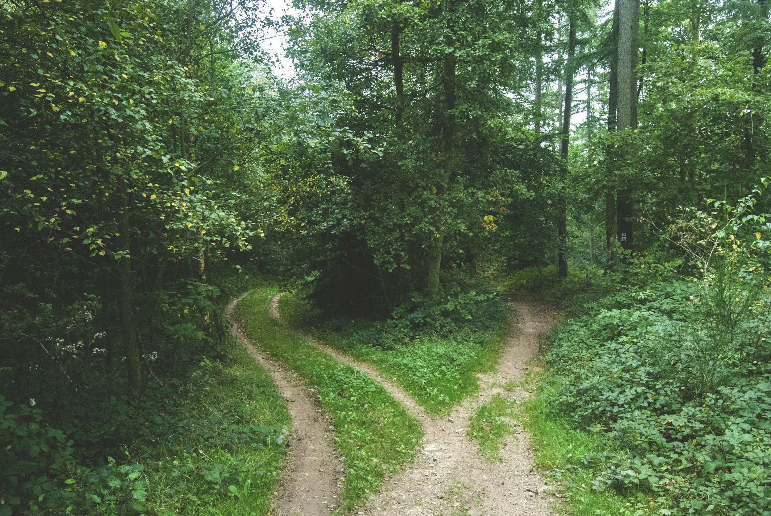 You Make 35,000 Decisions a Day: Here’s How to Stop Feeling Exhausted
