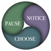 Pause, Notice, Choose: A Simple Mindset Shift to Reduce Stress and ...