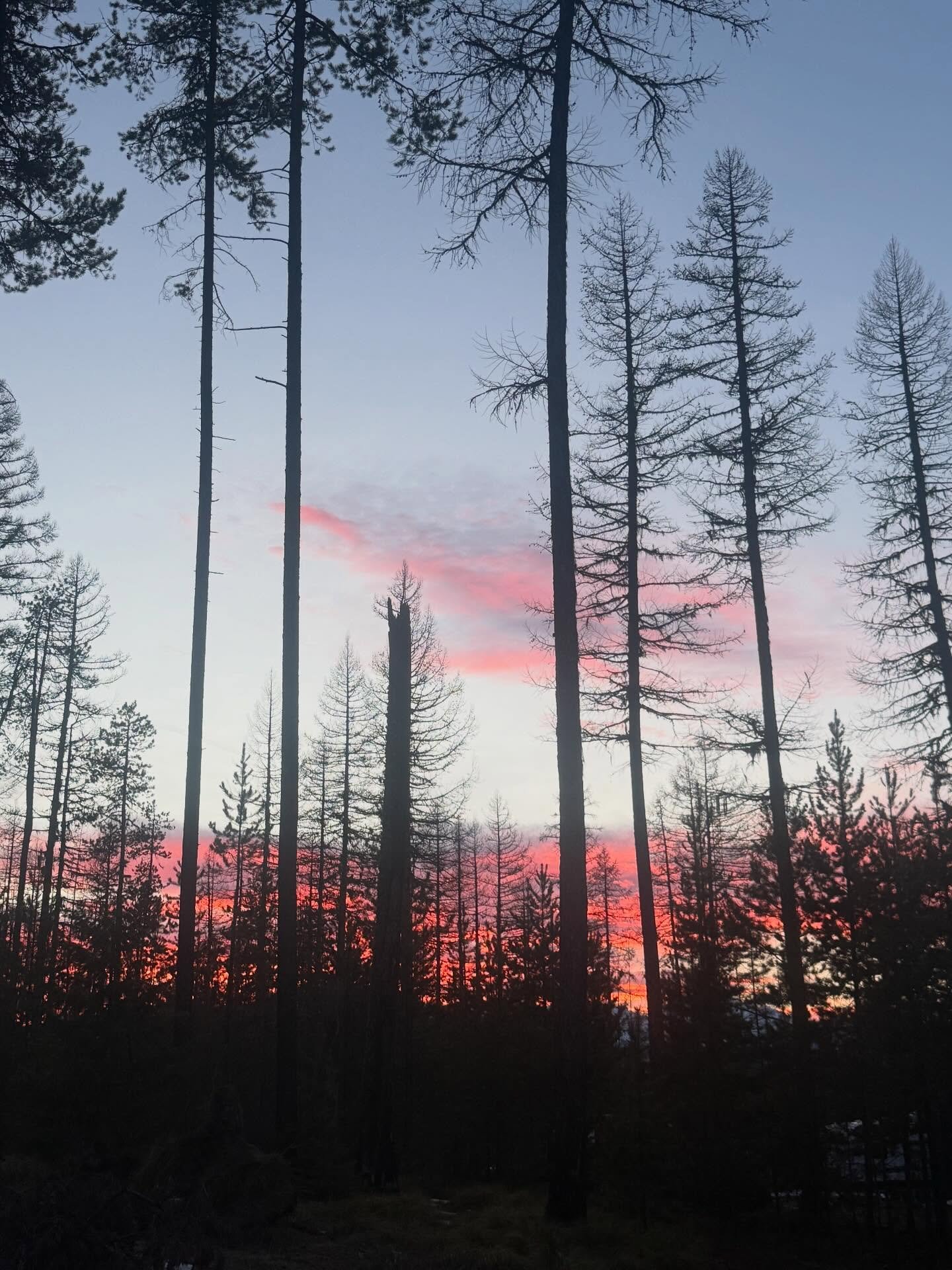 This season is reminding me of a few things I don&rsquo;t want to forget:

Space fuels creativity.

Transitions deserve intention.

Presence is a leadership skill.

I don&rsquo;t want to rush past these lessons.

I want to carry them with me, back in