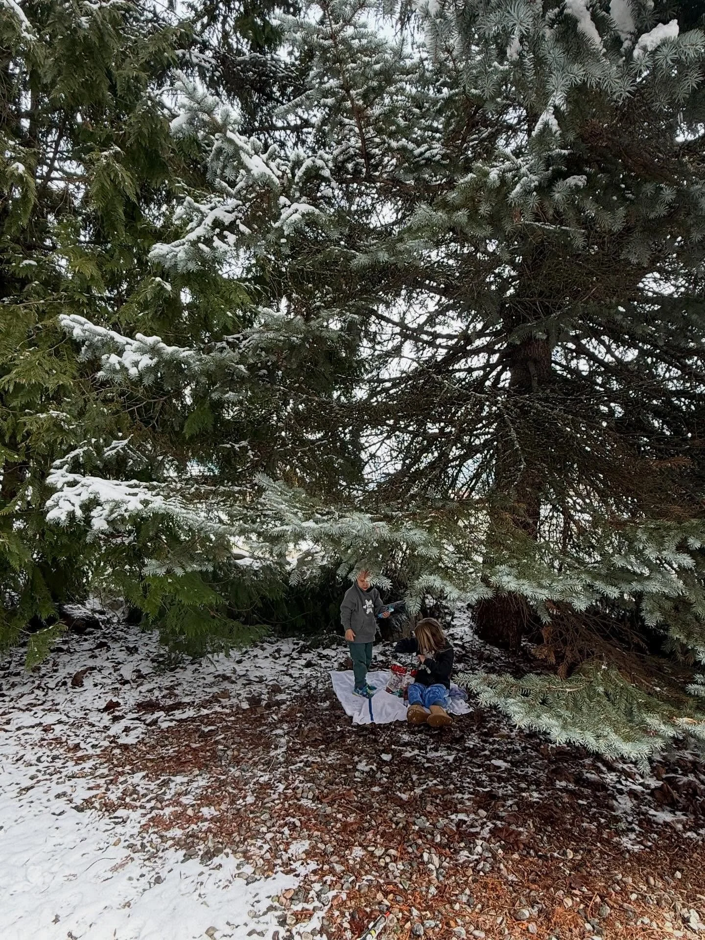 One of my favorite pandemic memories was getting to eat lunch with my daughter.

Now it&rsquo;s normal.

Lunch breaks under pine trees.

Work still happening.

Kids still growing.

Turns out the goal wasn&rsquo;t choosing between work and motherhood.