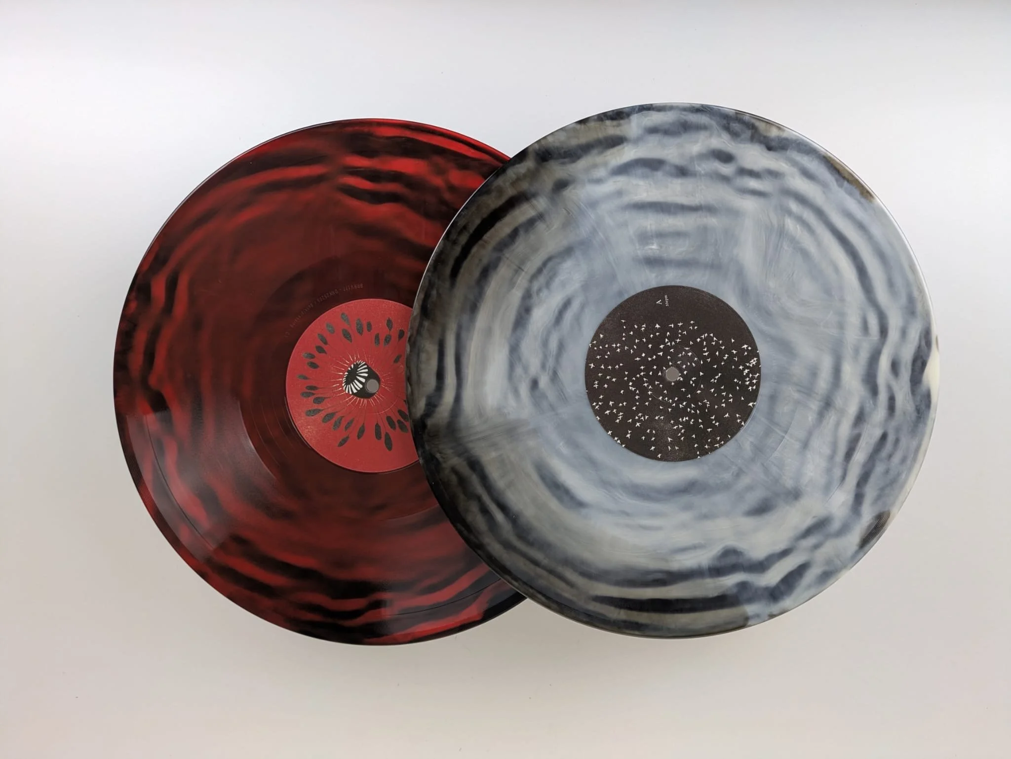 Blinding discs.JPG