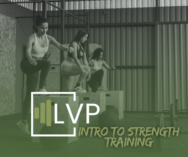PEOPLE WORKING OUT BY CLIMBING ONTO A WODDEN BOX FOR STEP UPS