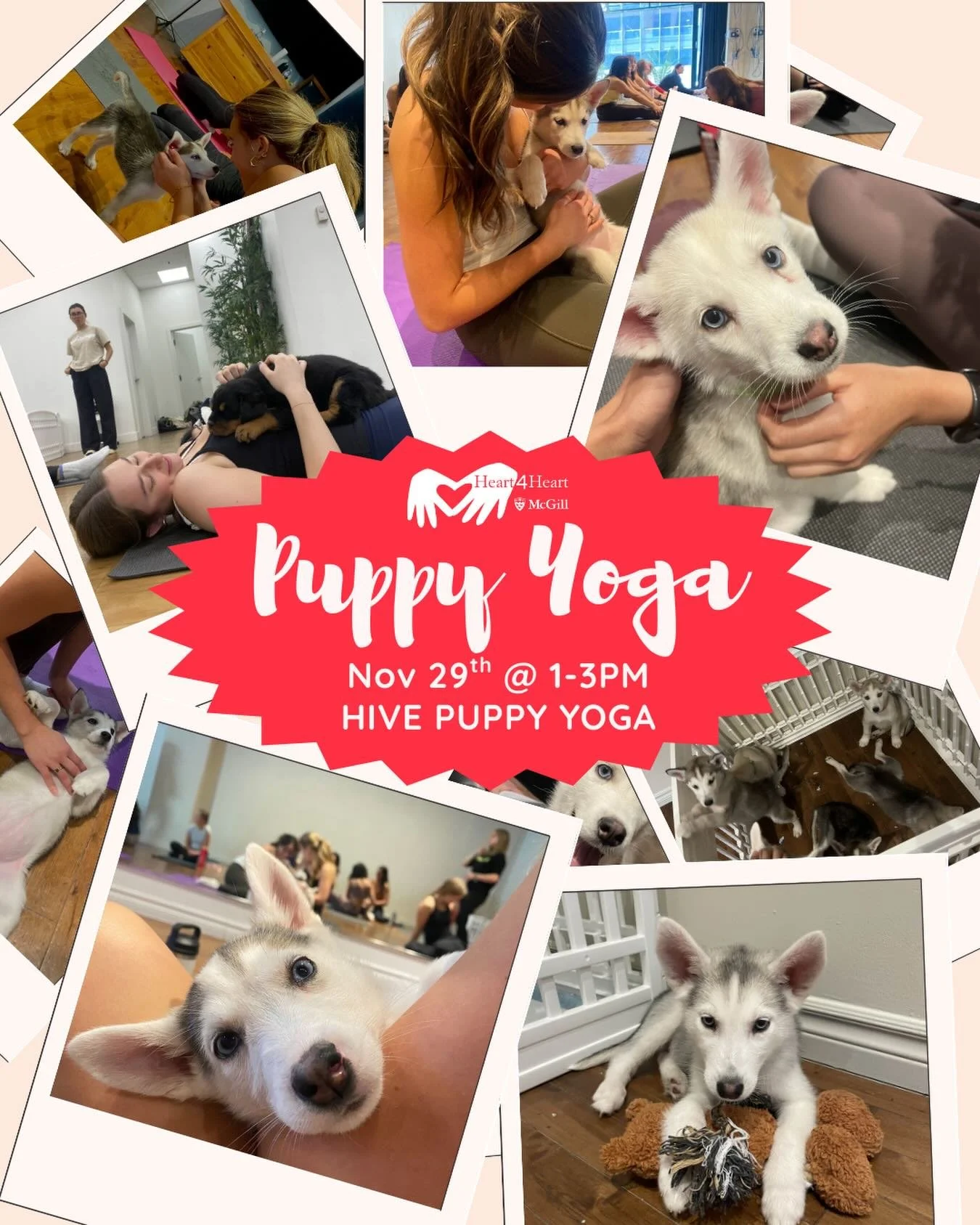 Join us for a puppy yoga class this Saturday Nov 29th! 
Sign-up through link in bio!