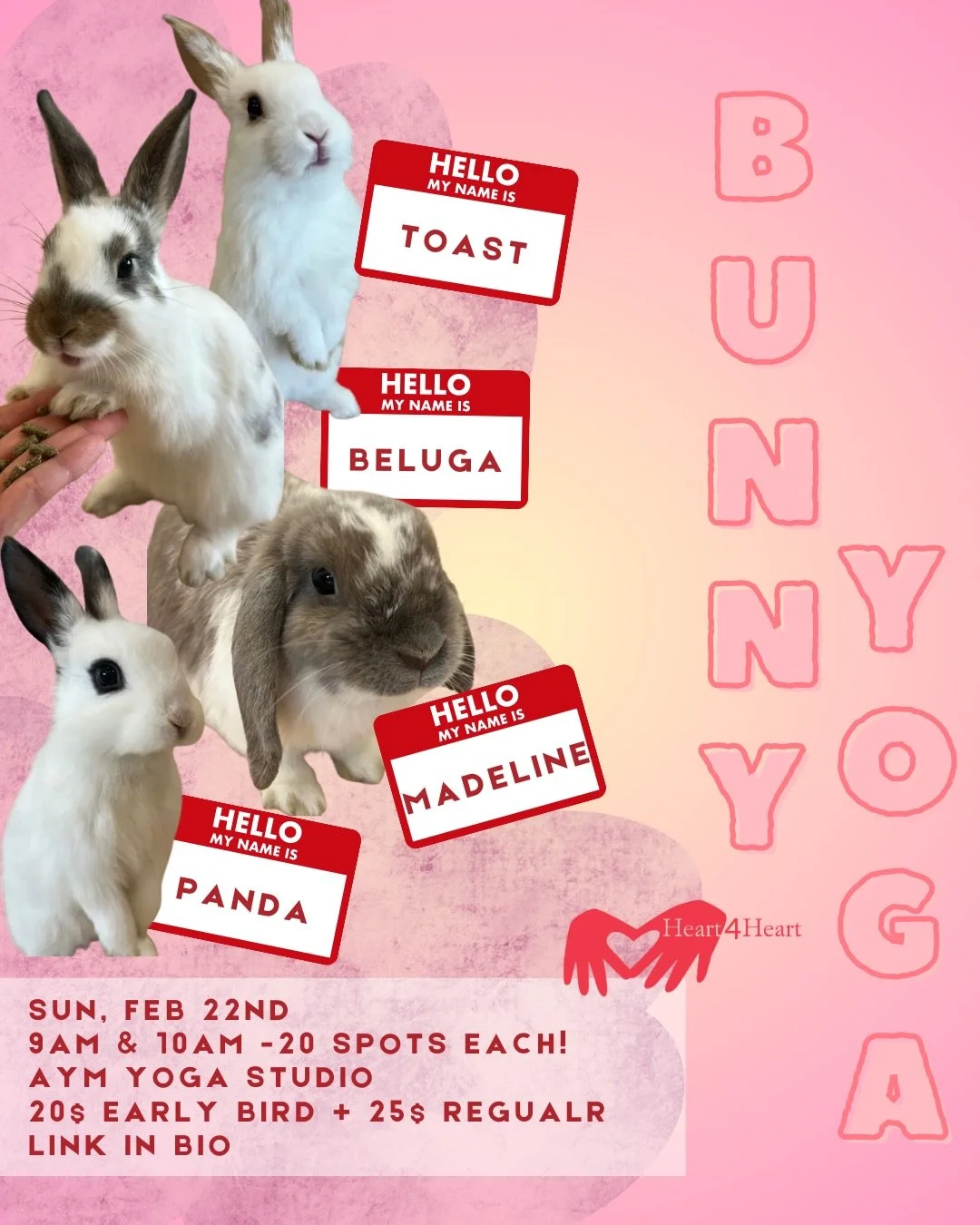 Meet the CUTEST bunnies ever 🐇🐇🐇

Join us for Bunny Yoga on Sunday, February 22nd at AYM studios and meet some of the cutest and kindest bunnies ever, and feed them (bring your own veggies!).

We have 2 sessions, 9am and 10am, and you don&rsquo;t 