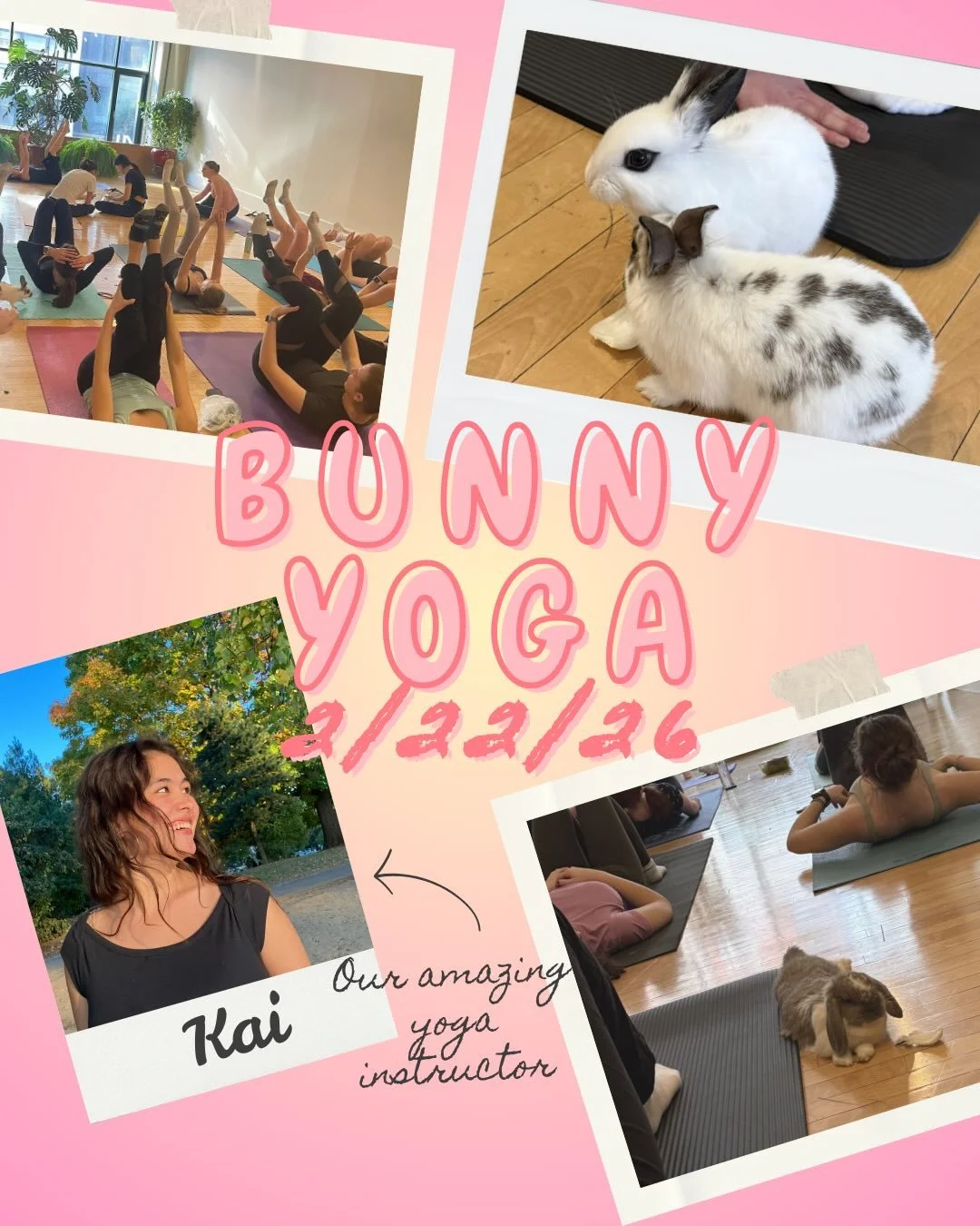 Take a look at our first ever bunny yoga event! More to come! 🐇🐰💗