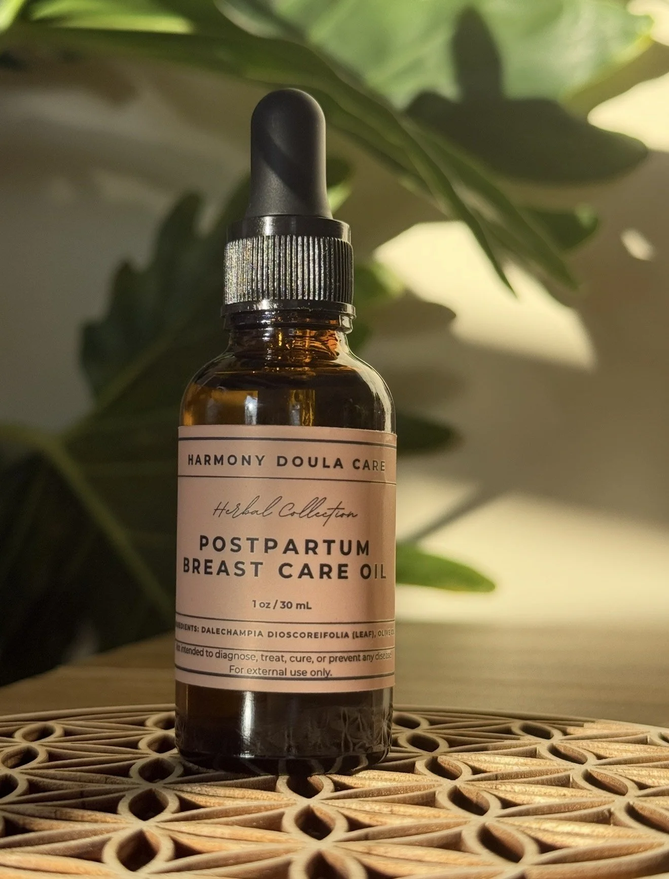 image_123650291 - 2026-01-13T133312.197.JPG