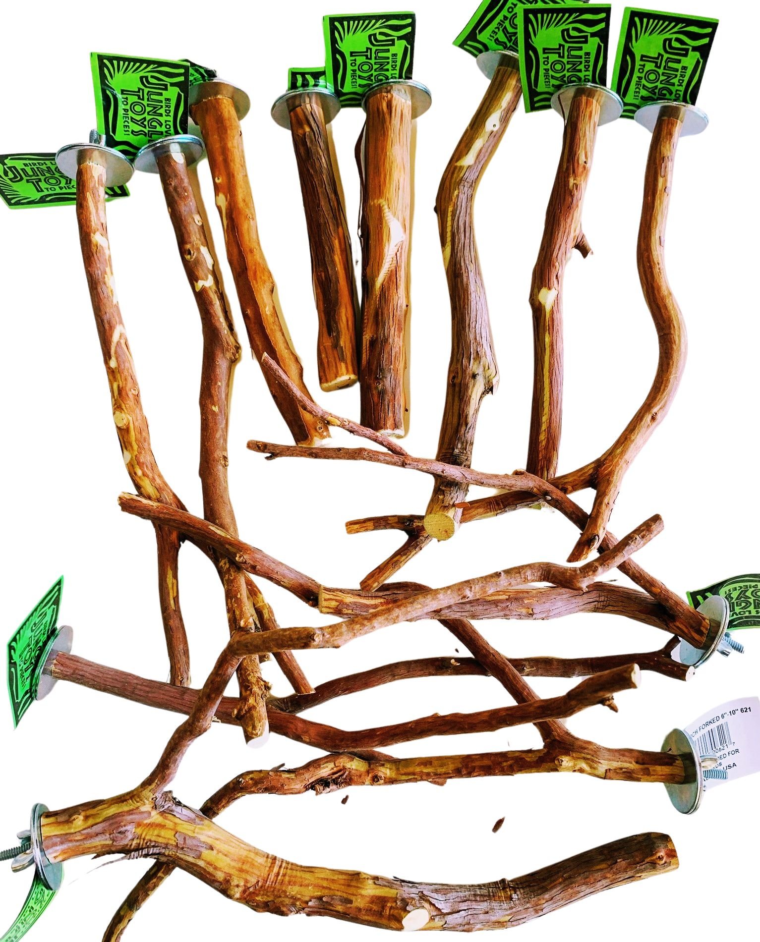 Perch.jpg