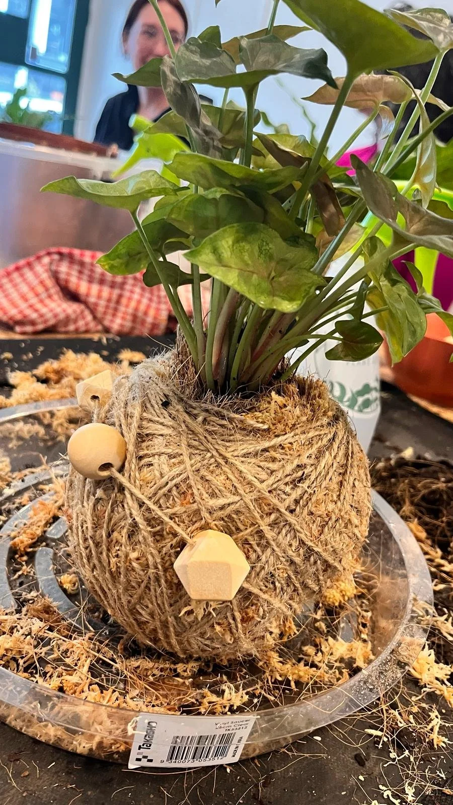 Kokedama workshop | Habitat Plant House