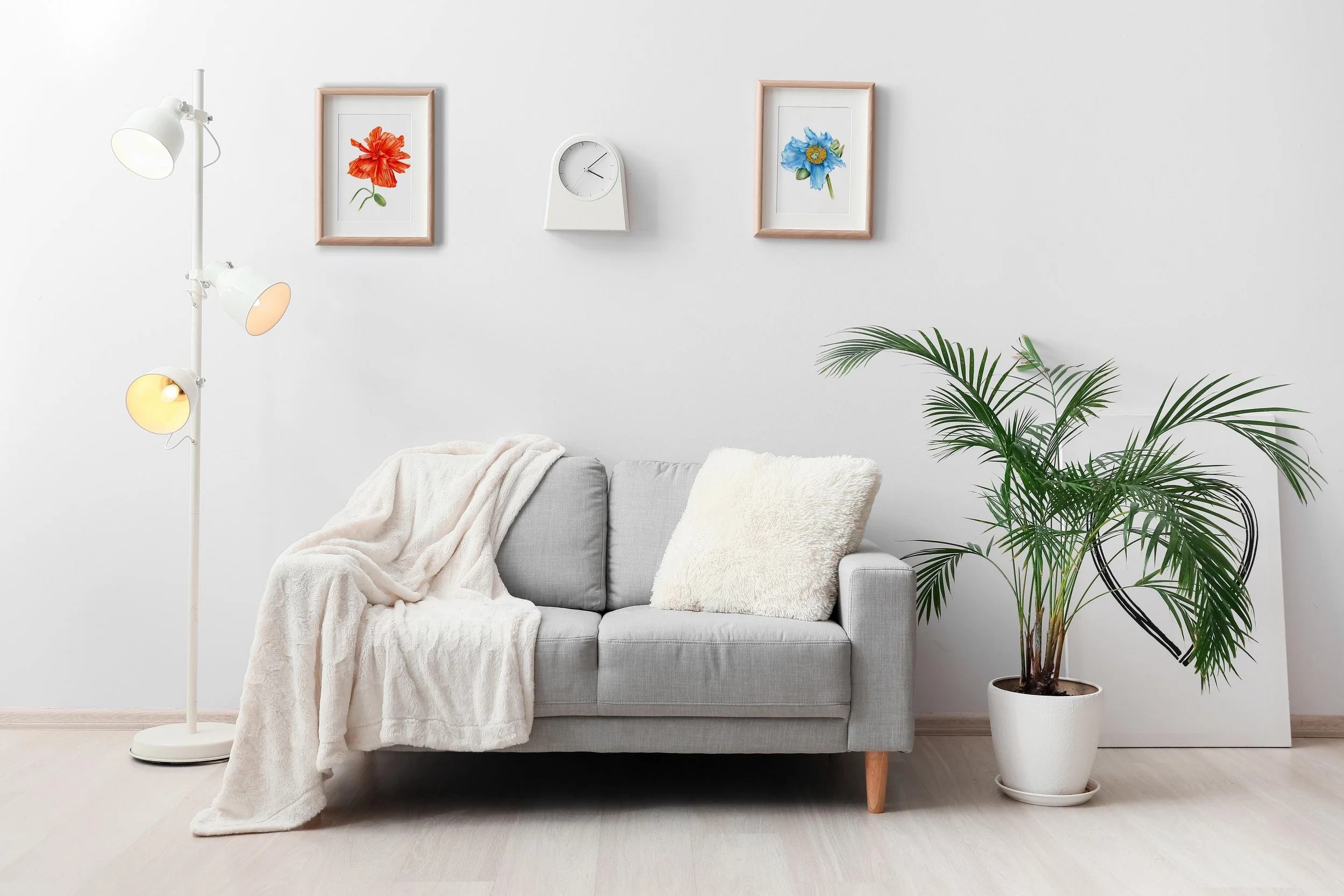 red and blue poppy flower.jpg