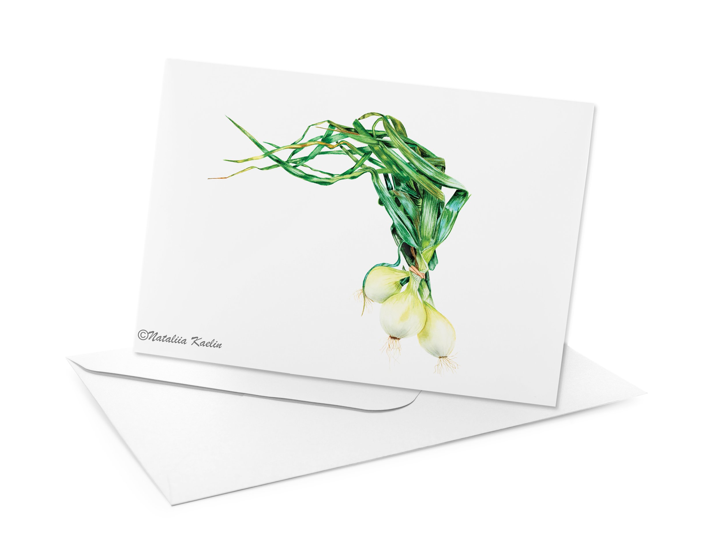 Spring Onions - Watercolor Illustration - Greeting Card or Print