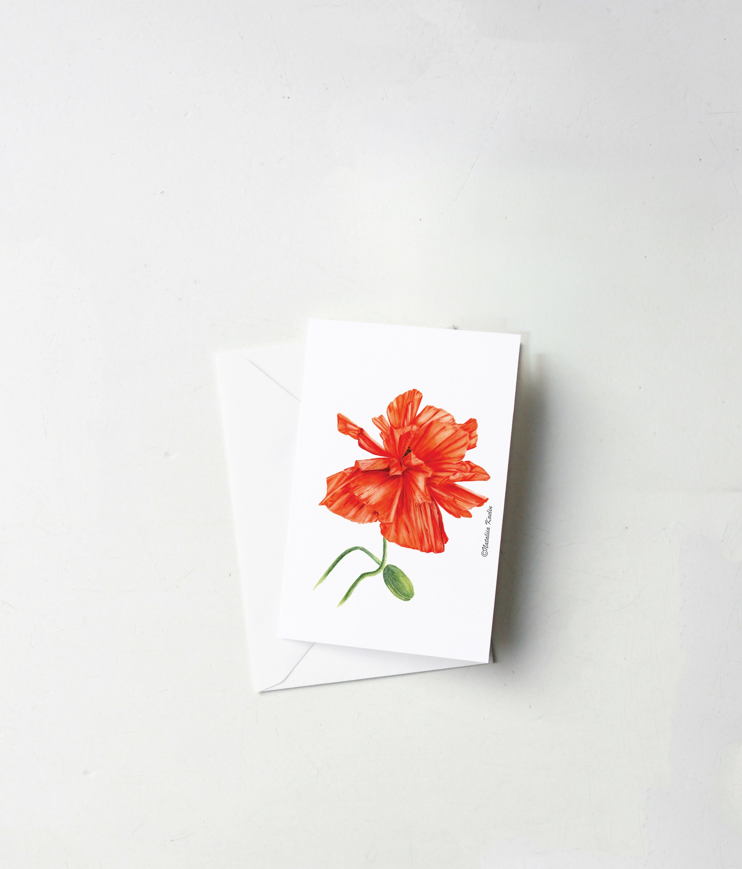 Red Poppy Flower - Watercolor Illustration - Greeting Card or Print