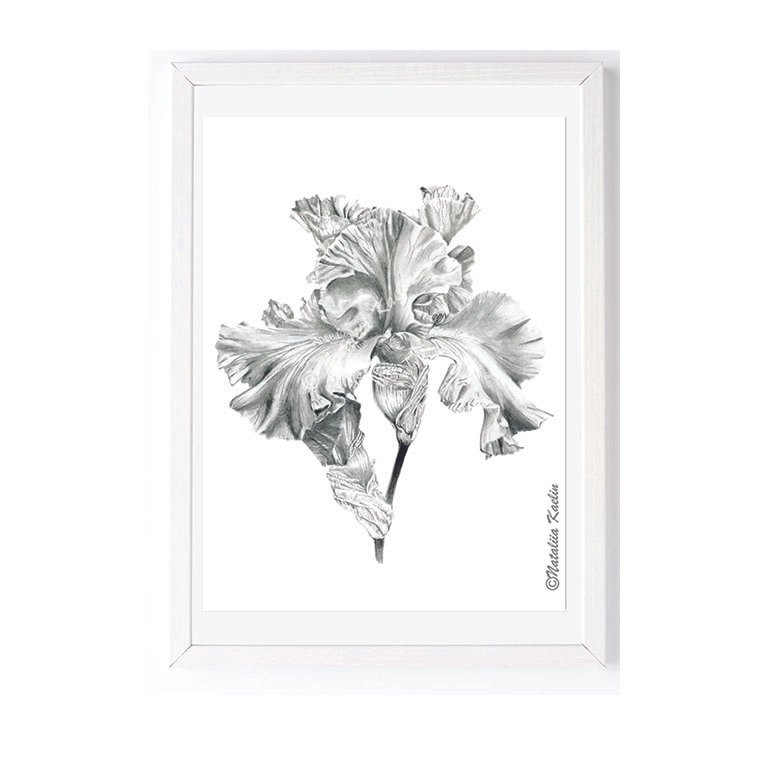 iris graphite sq white frame.jpg