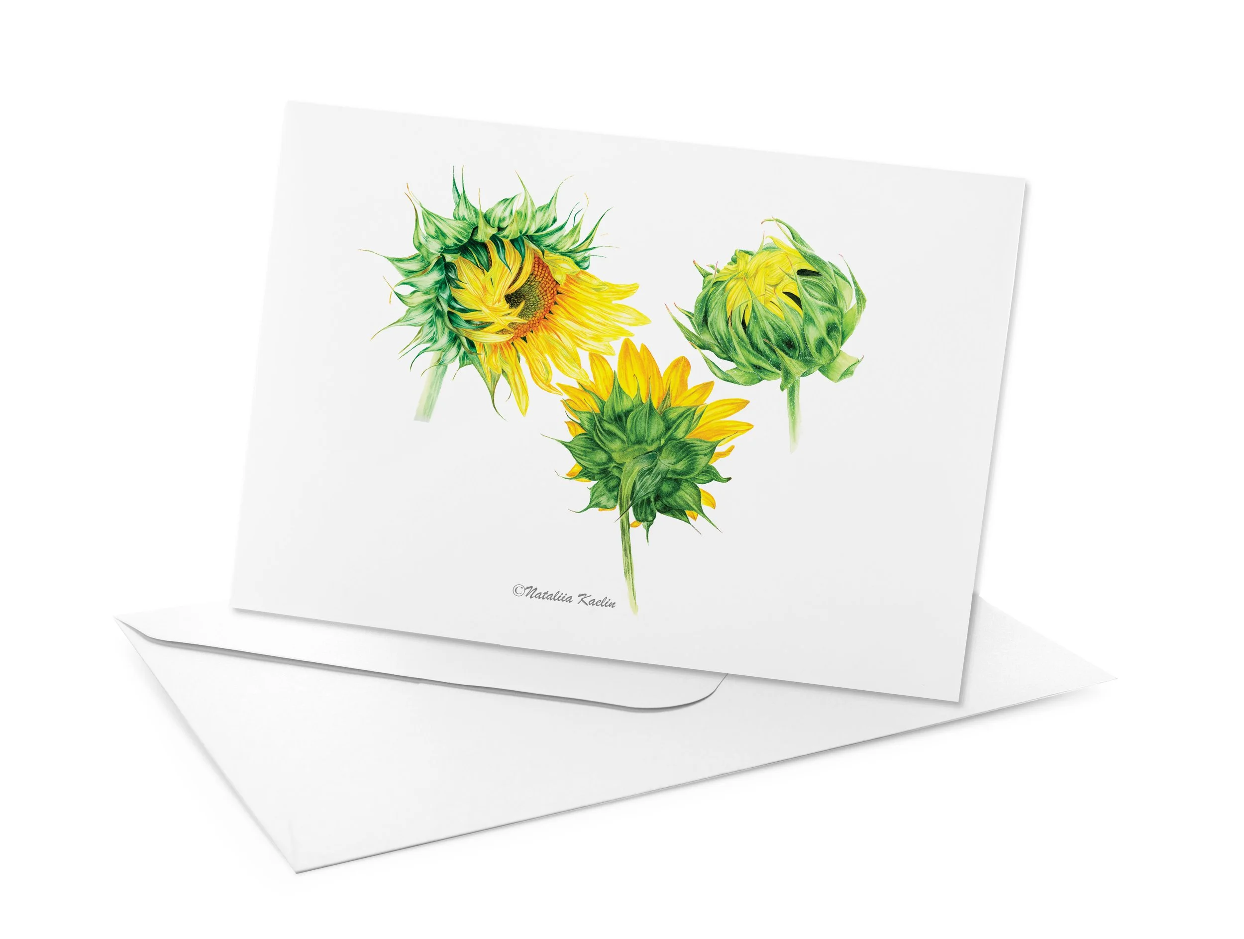 Circle of Sunflowers - Watercolor Illustration - Greeting Card or Print