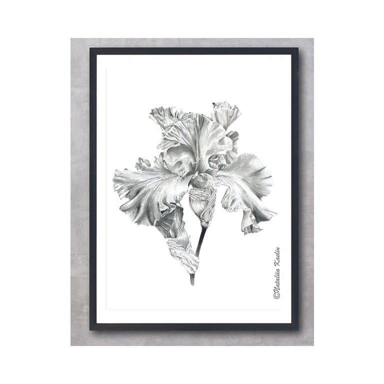 iris dark frame_sq.jpg