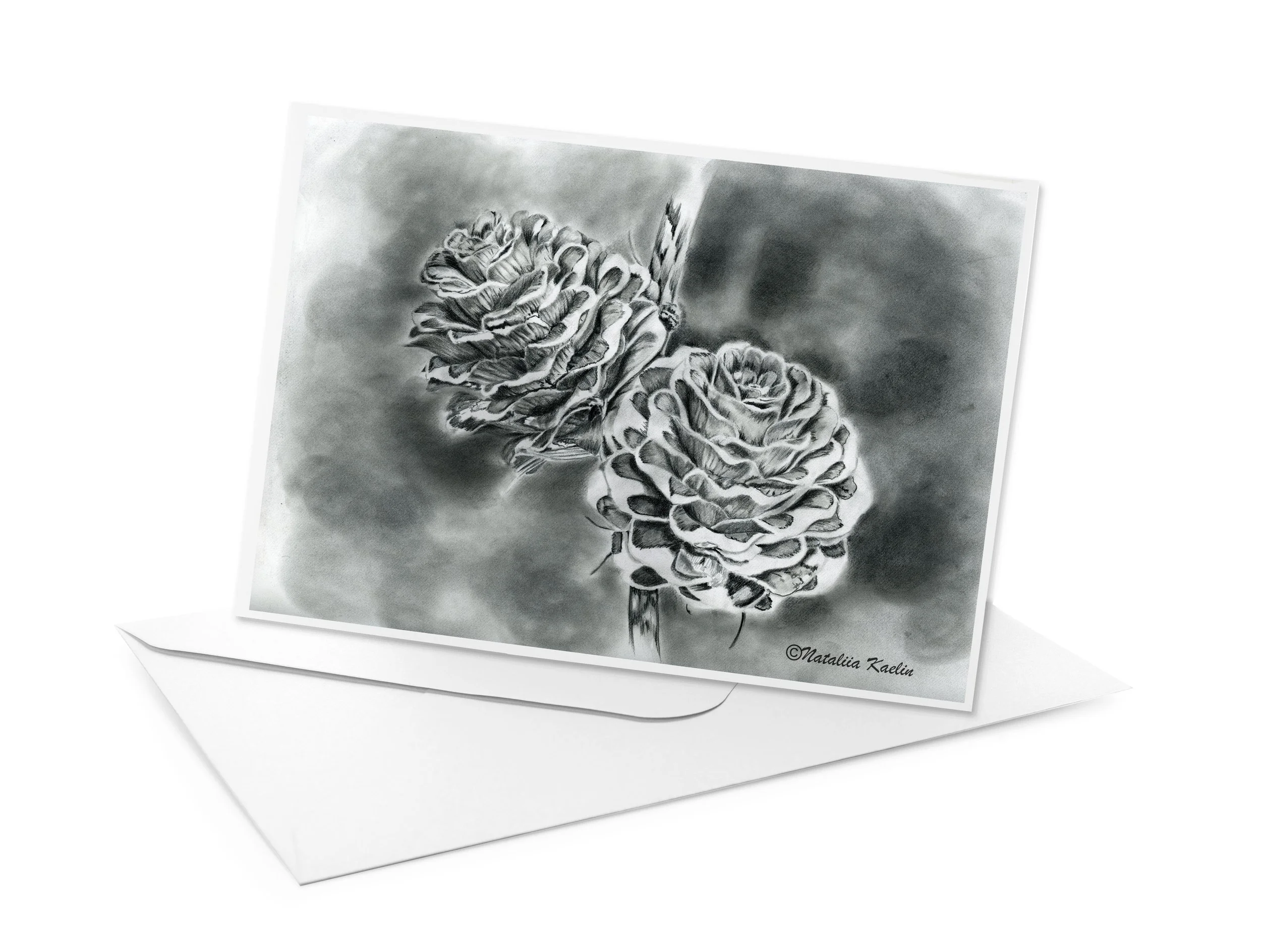 Pinecones in Graphite