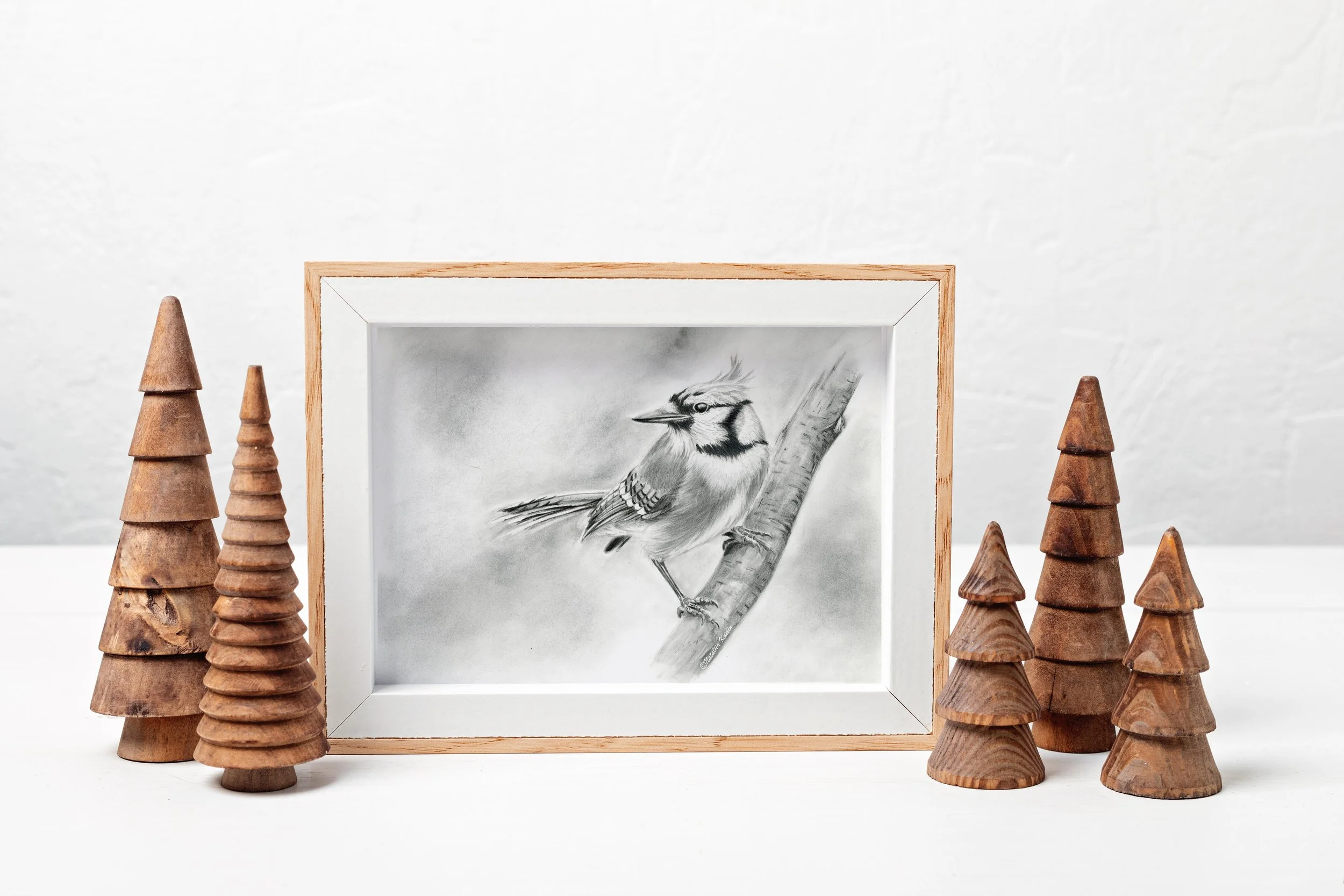 blue jay graphite.jpg