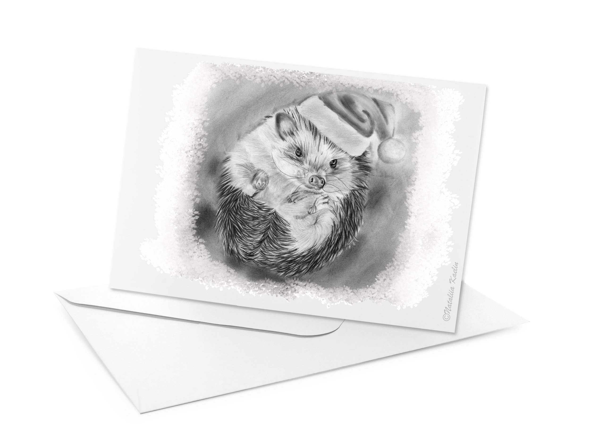 Winter Whiskers - hedgehog