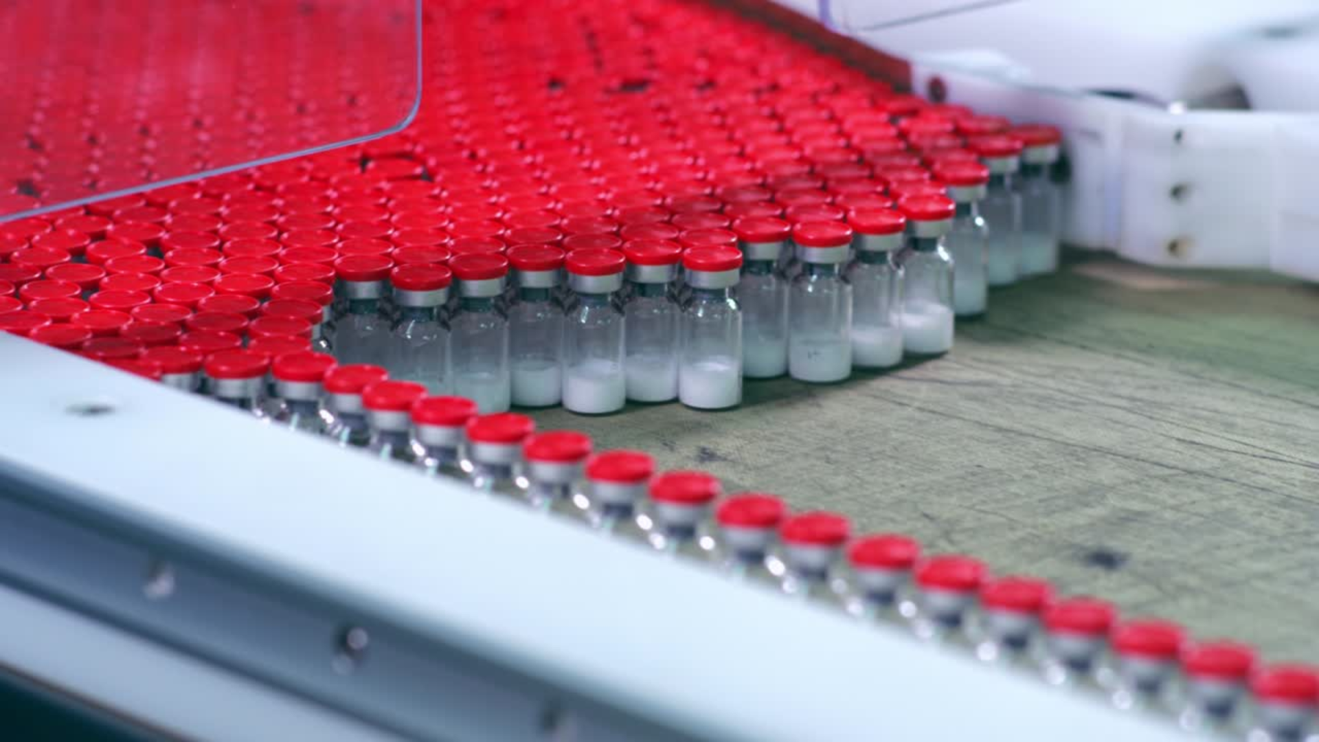 A conveyor belt with numerous small glass vials filled with a white substance, sealed with red caps, moving along an automated production line.