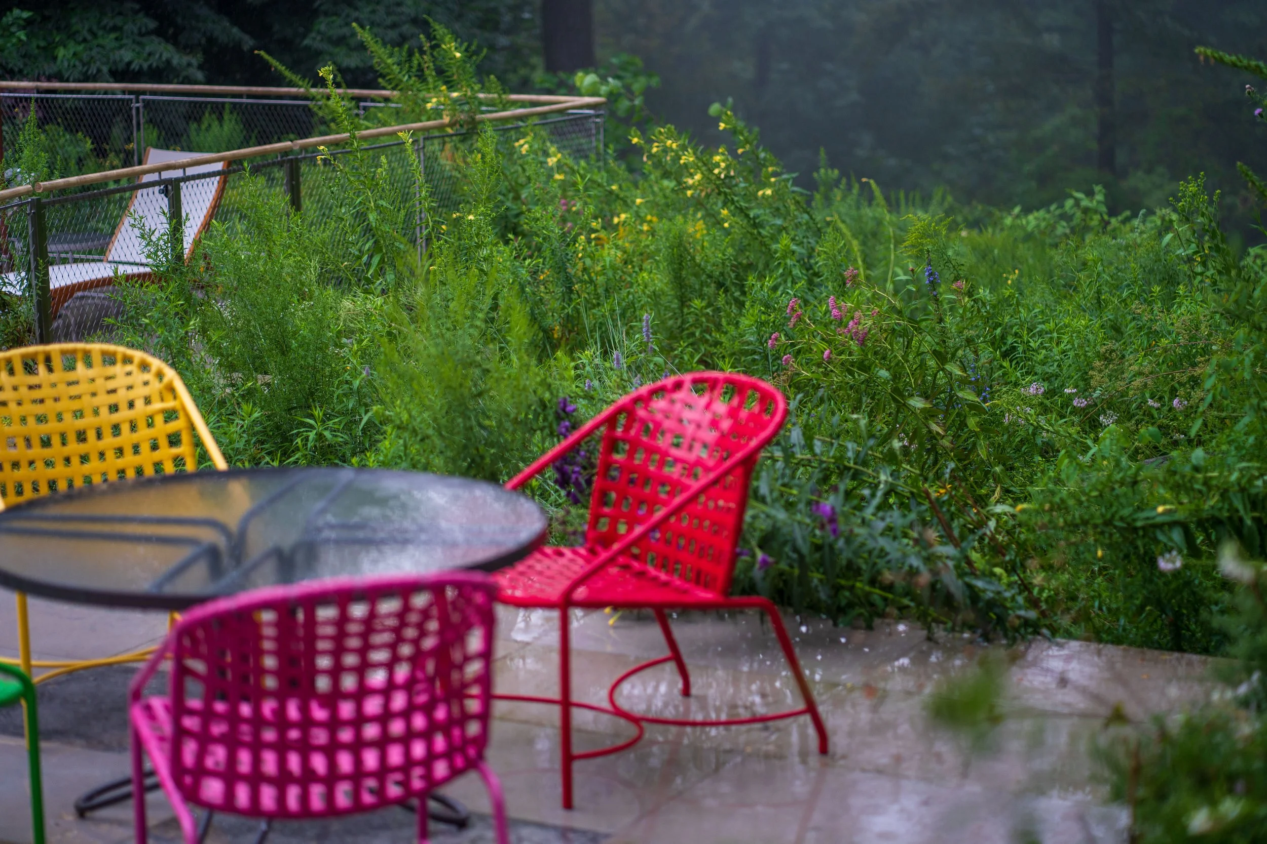 Outdoor seating area surrounded by dense native meadow planting